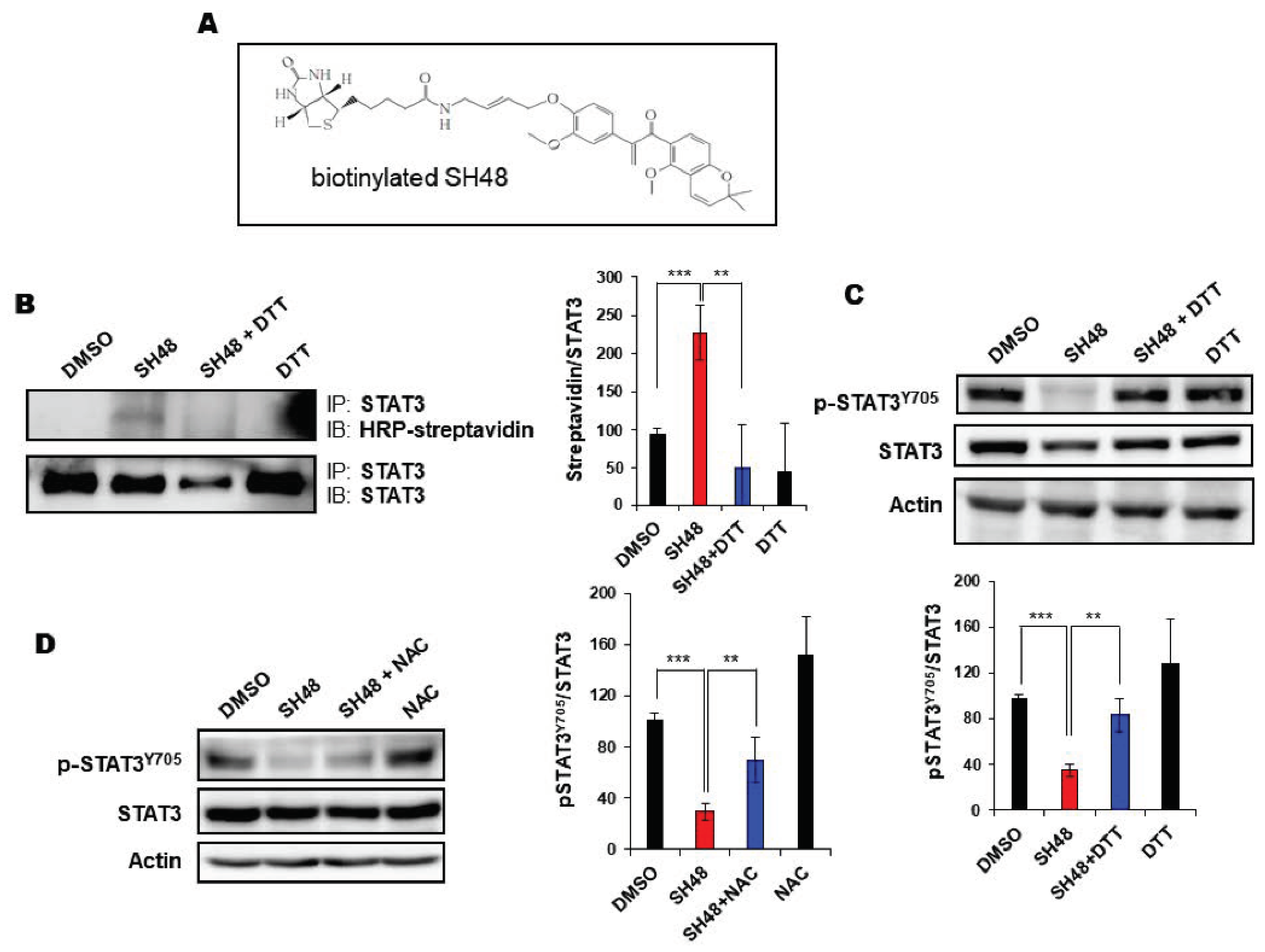 Biomedicines 08 00407 g004