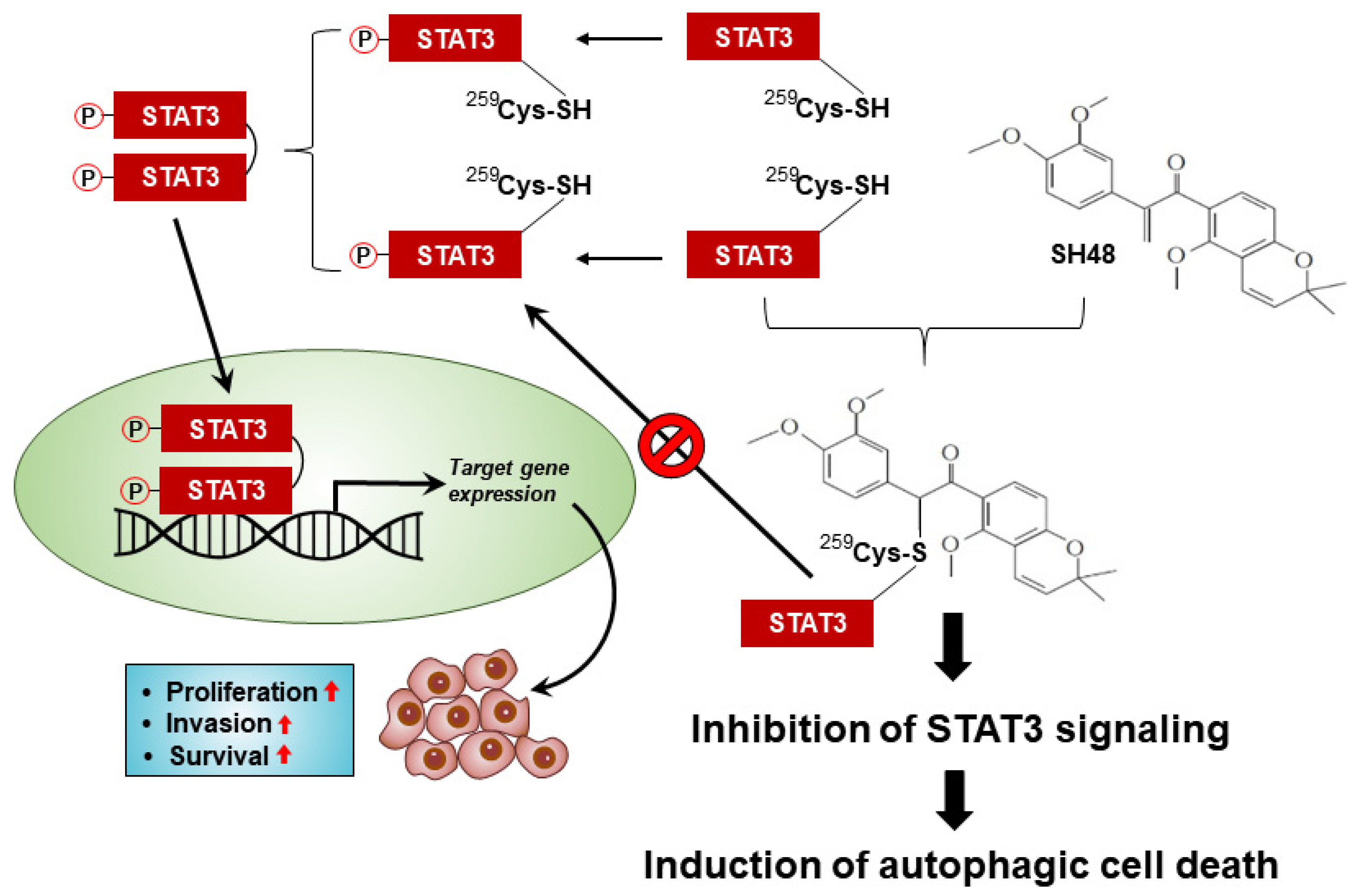 Biomedicines 08 00407 g009