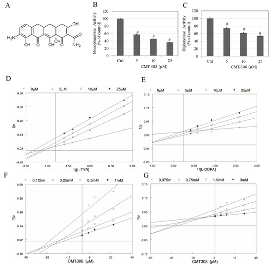 CMT-308, a Nonantimicrobial Chemically-Modified Tetracycline