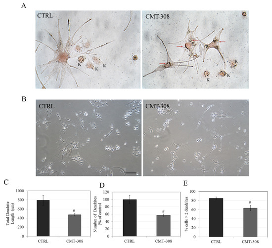 Charge Disproportionation Triggers Bipolar Doping in FeSb2
