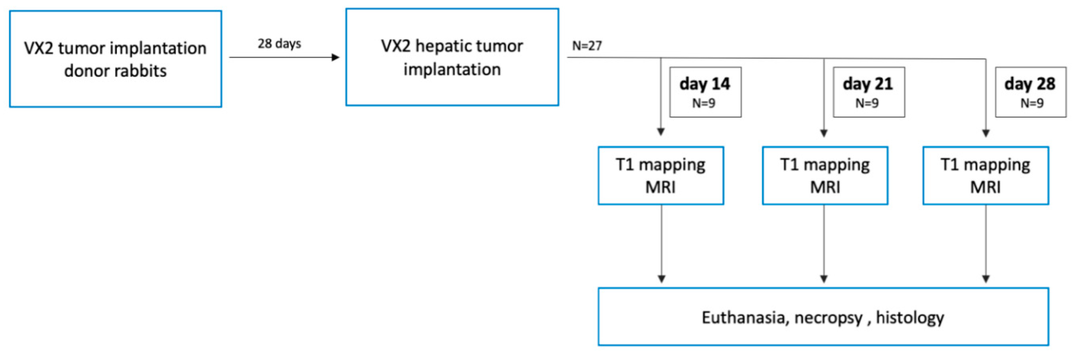 Biomedicines 08 00412 g001 Biomedicines 08 00412 g001
