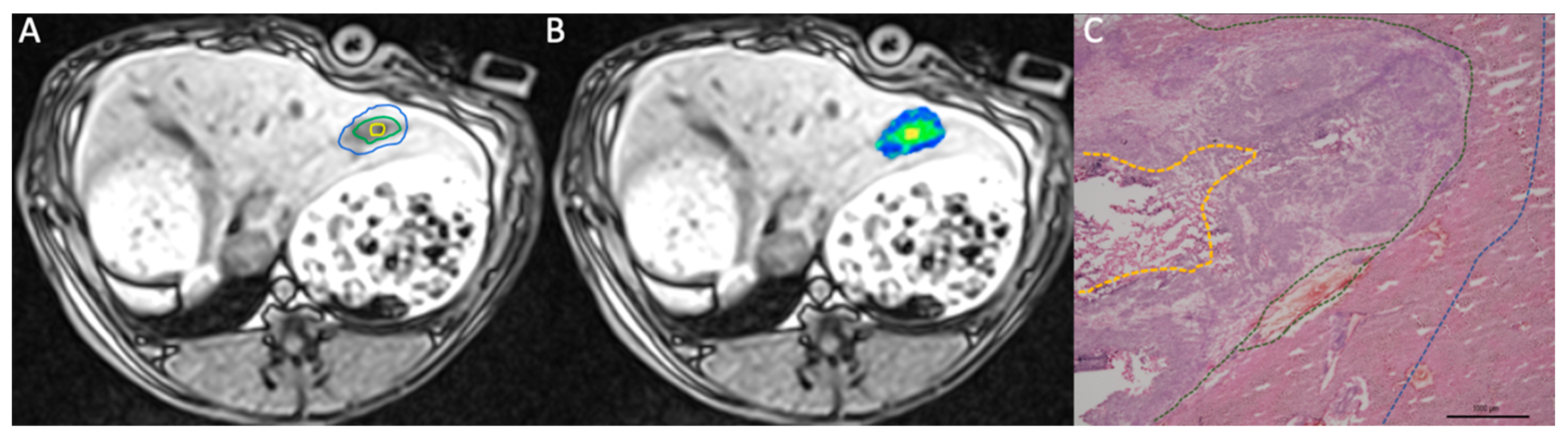 Biomedicines 08 00412 g002 Biomedicines 08 00412 g002
