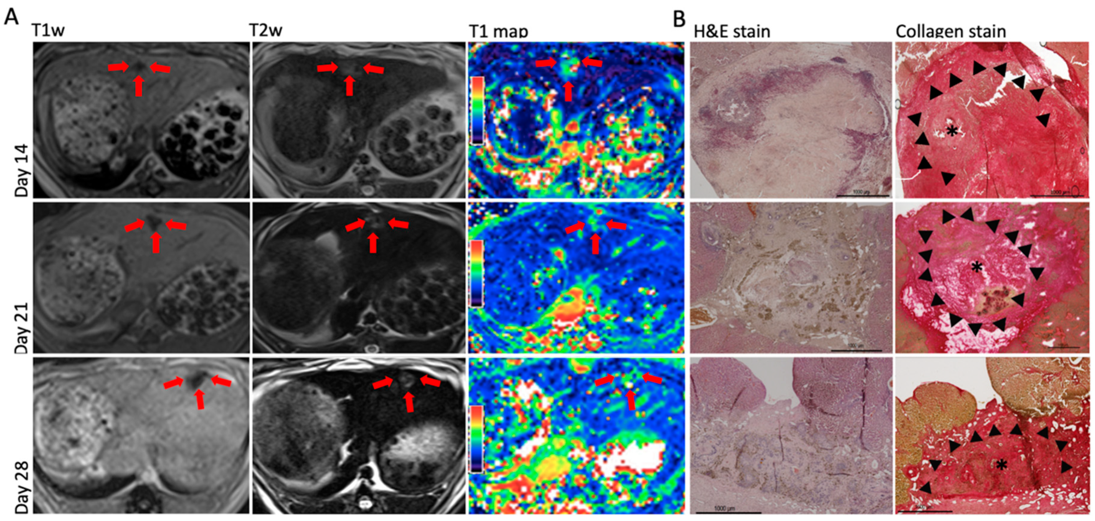 Biomedicines 08 00412 g003 Biomedicines 08 00412 g003