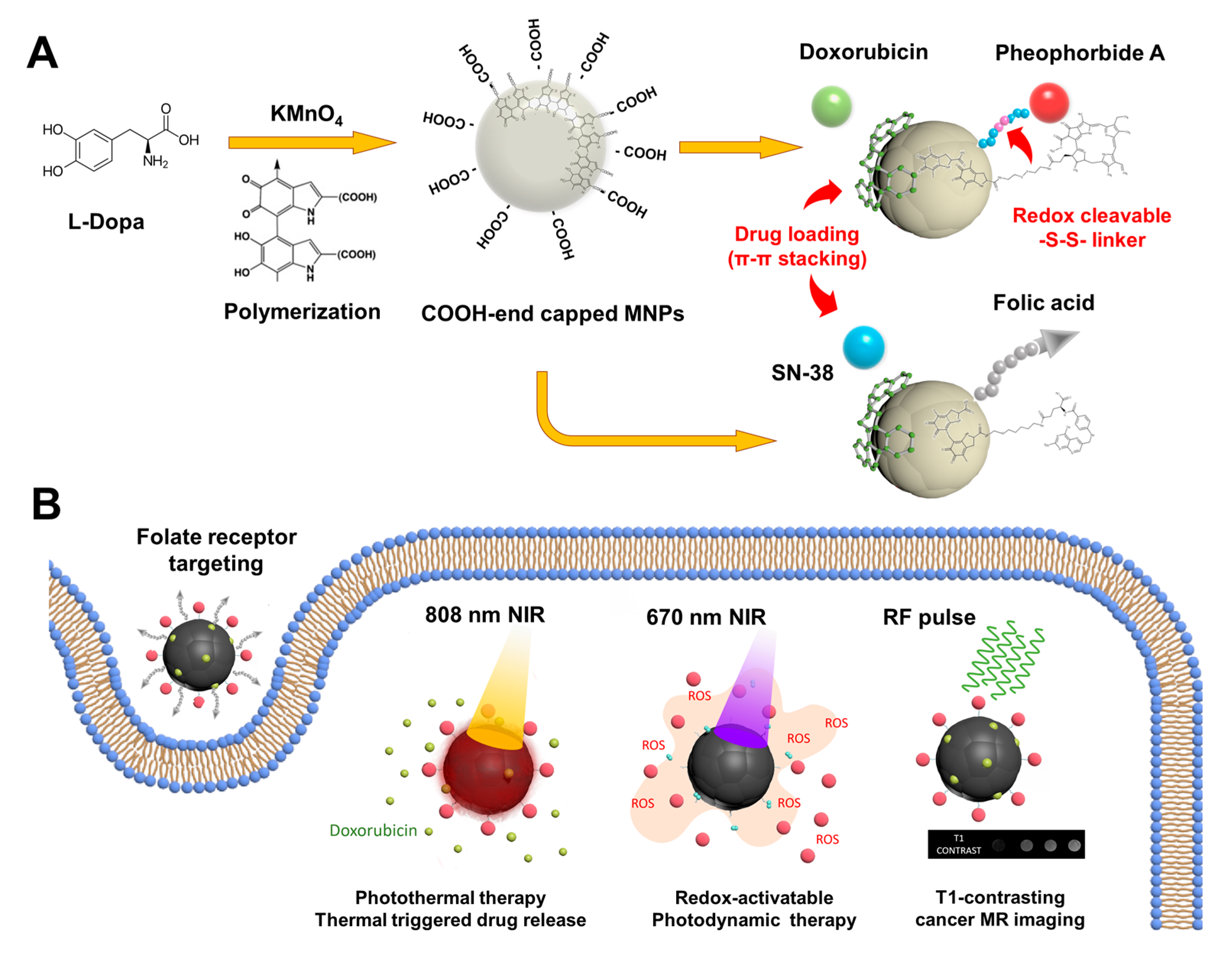 Biomedicines 08 00417 sch001 Biomedicines 08 00417 sch001