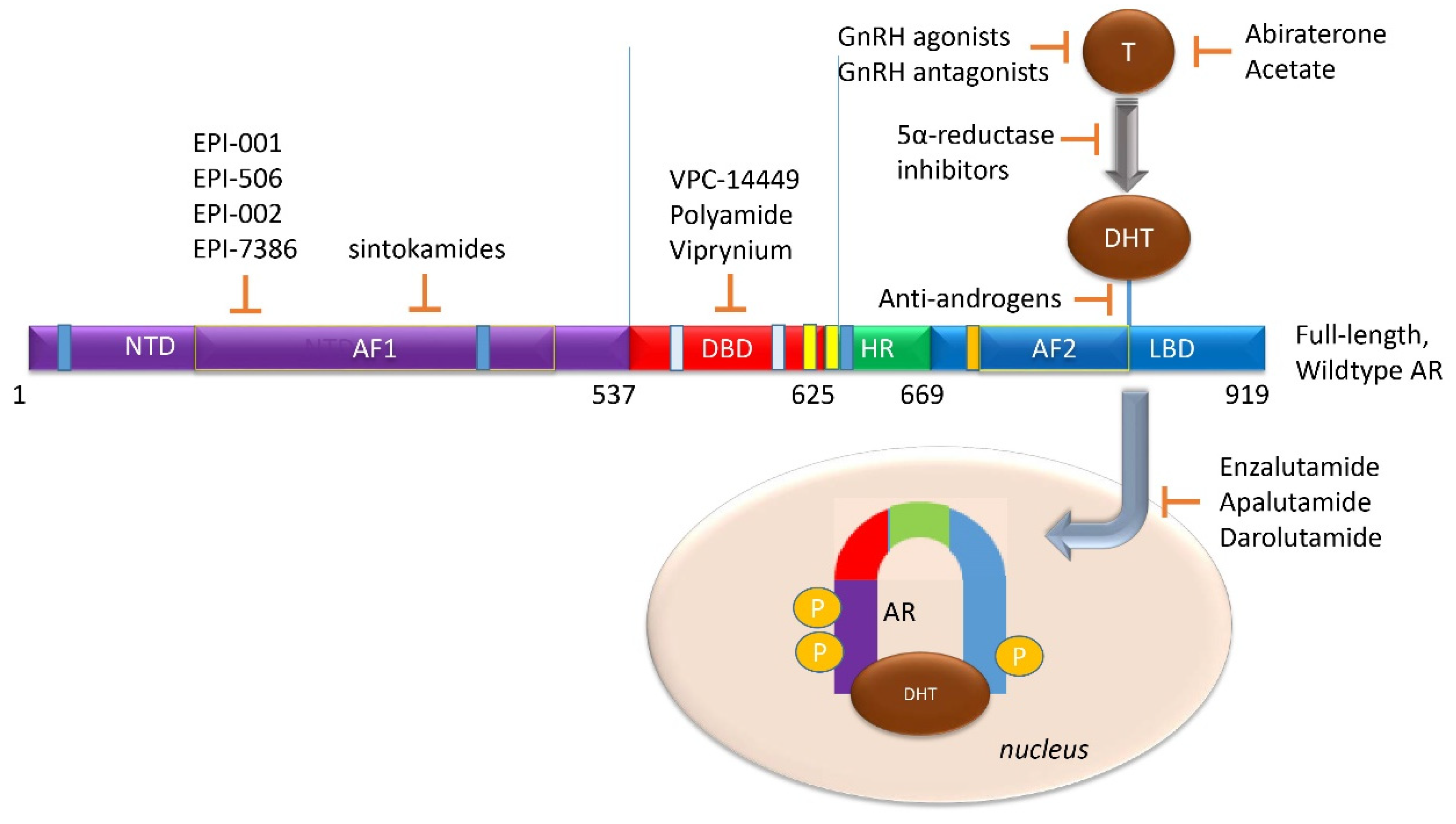 Biomedicines 08 00422 g006