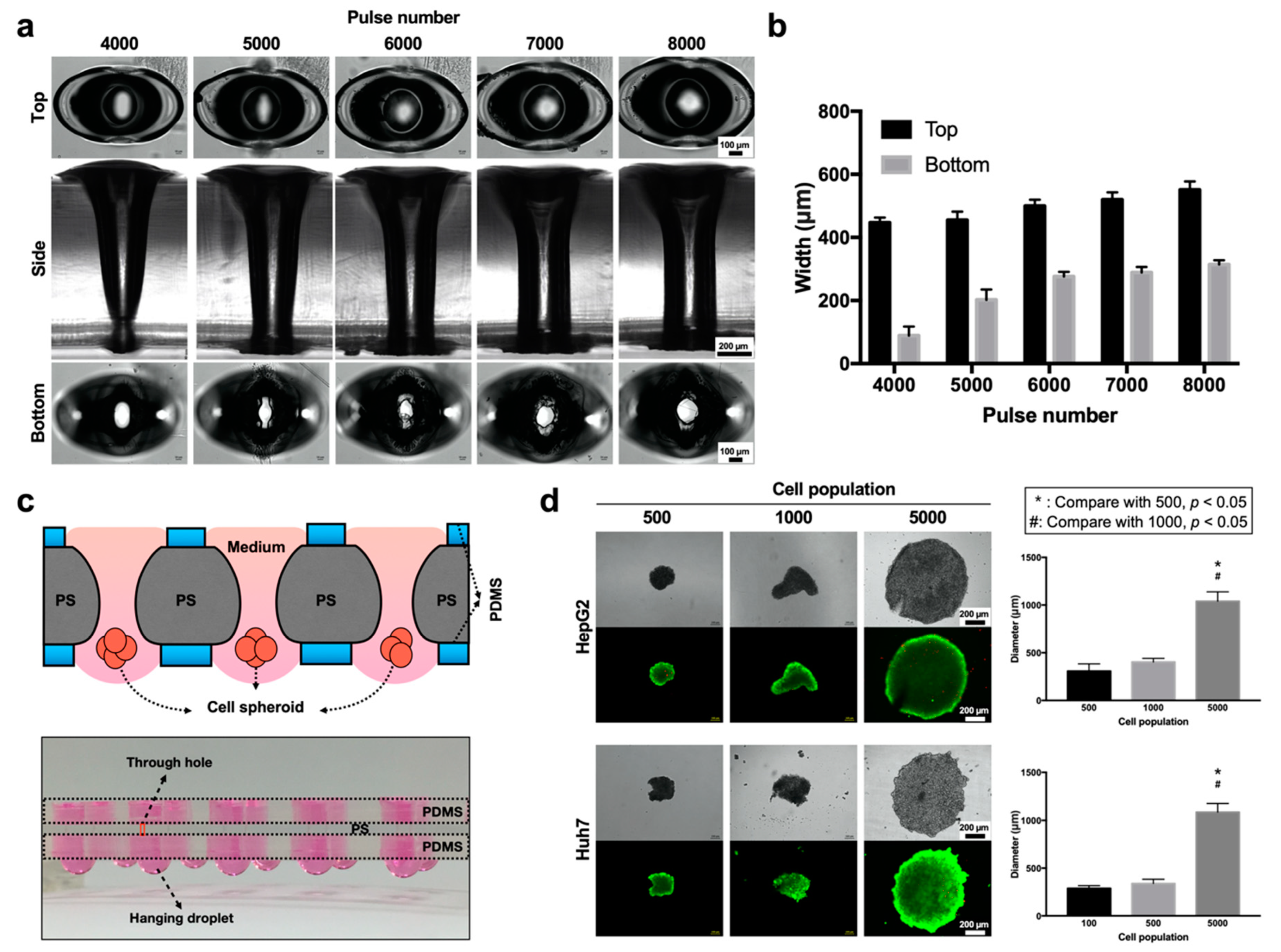 Biomedicines 08 00427 g005