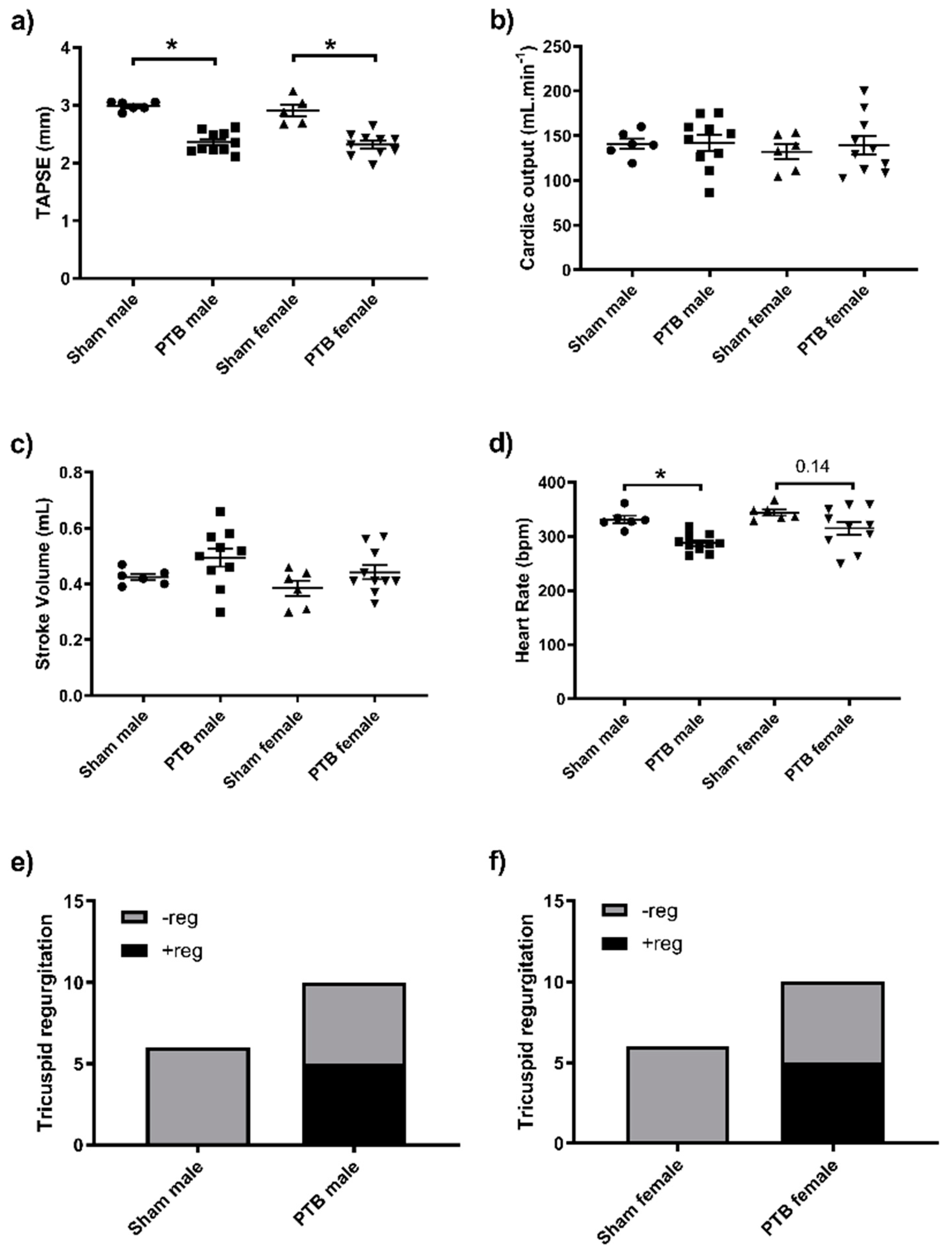 Biomedicines 08 00430 g003