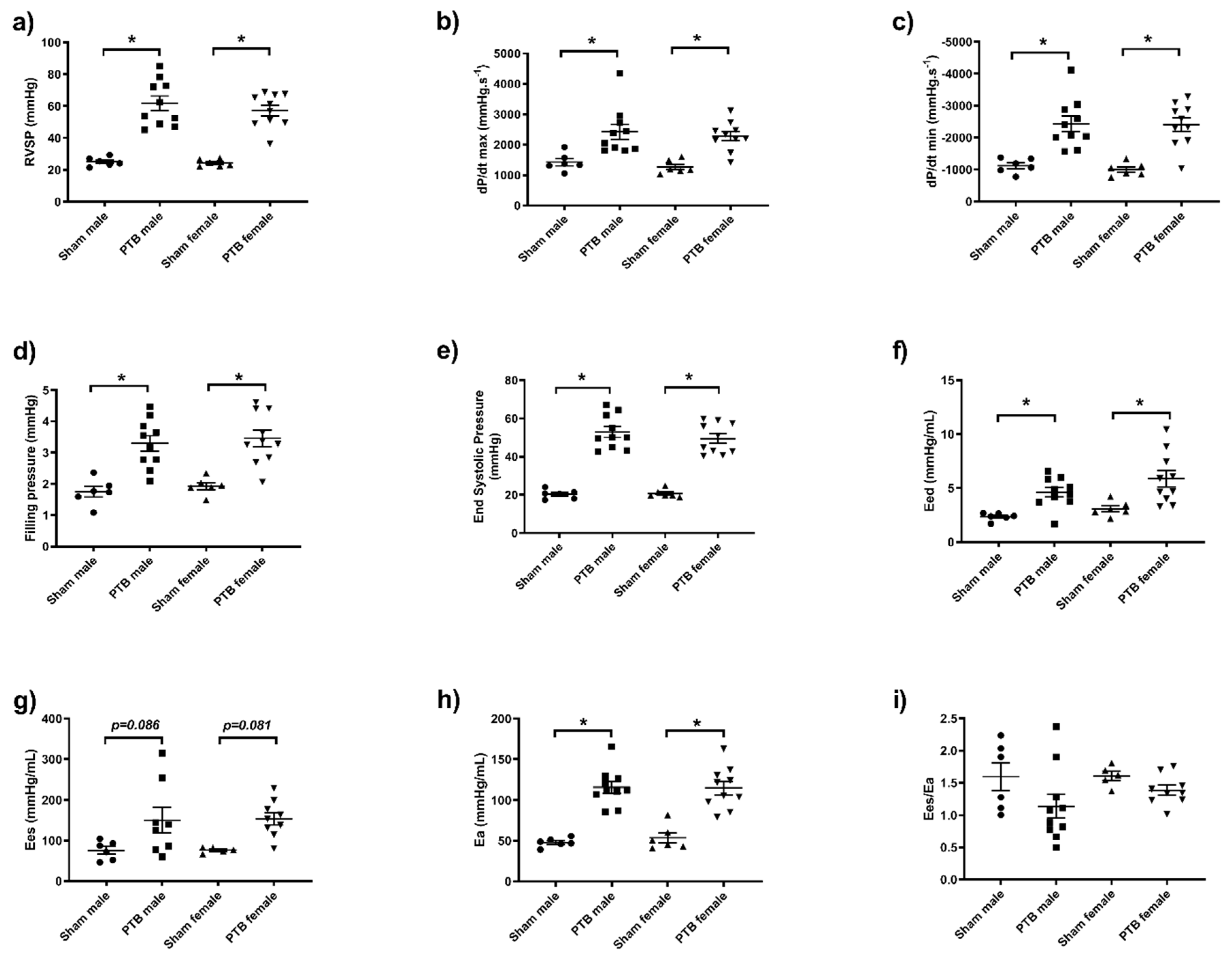 Biomedicines 08 00430 g004