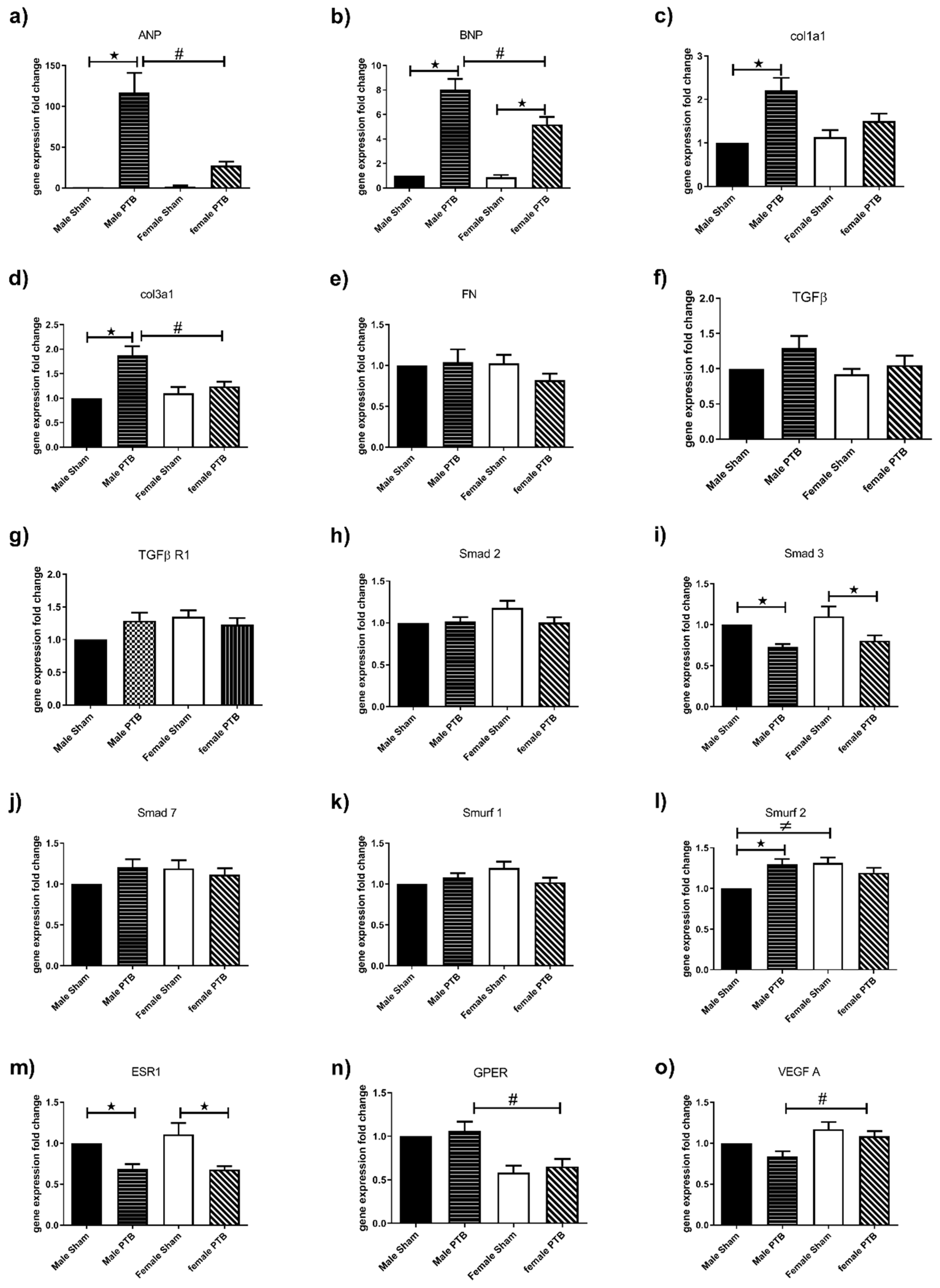 Biomedicines 08 00430 g005