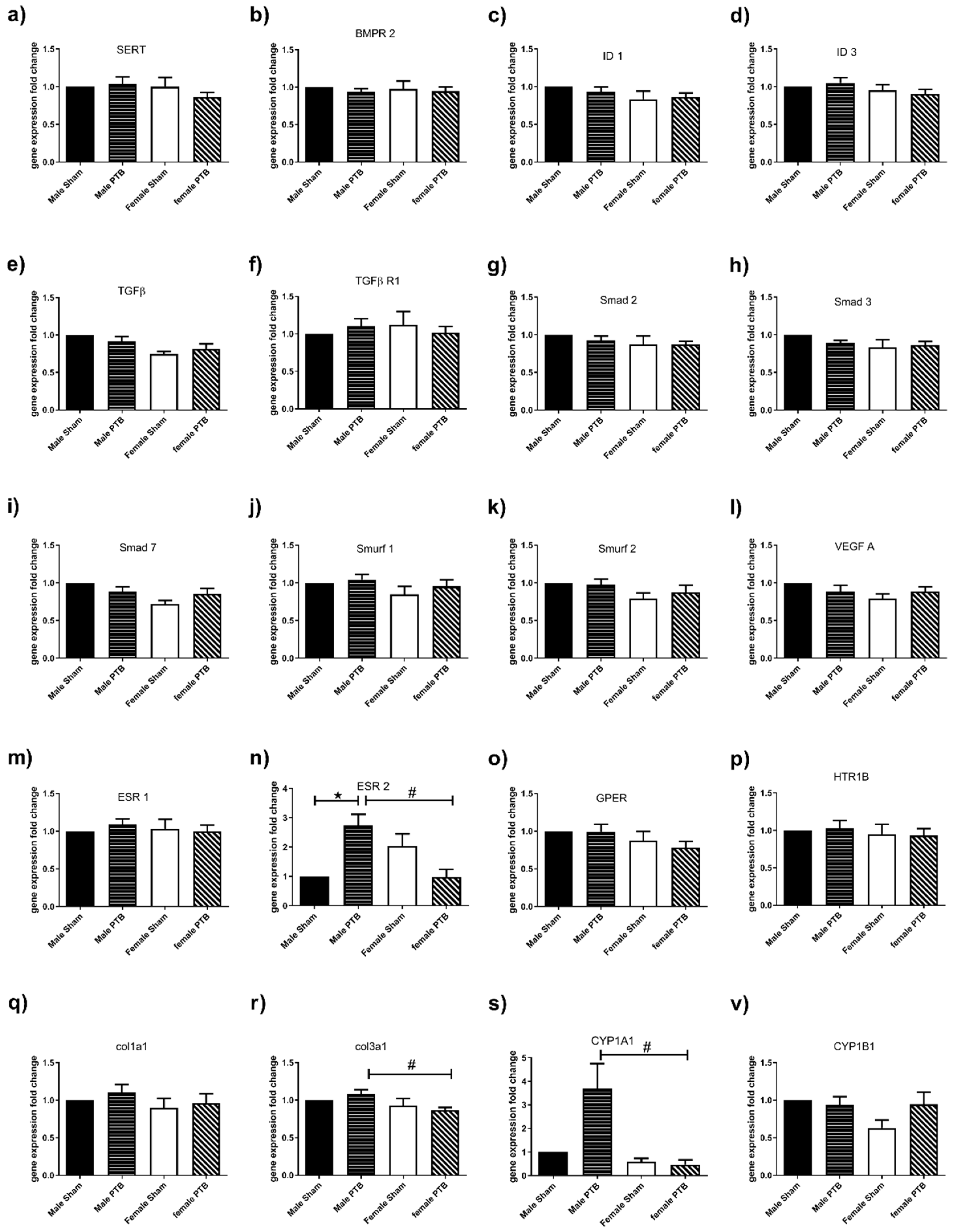 Biomedicines 08 00430 g006