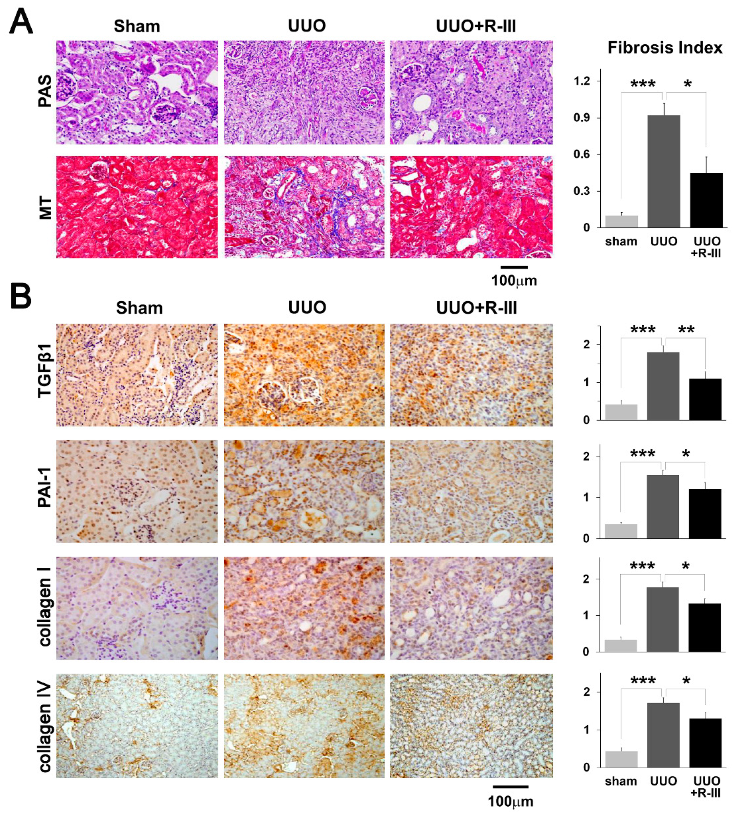 Biomedicines 08 00431 g003