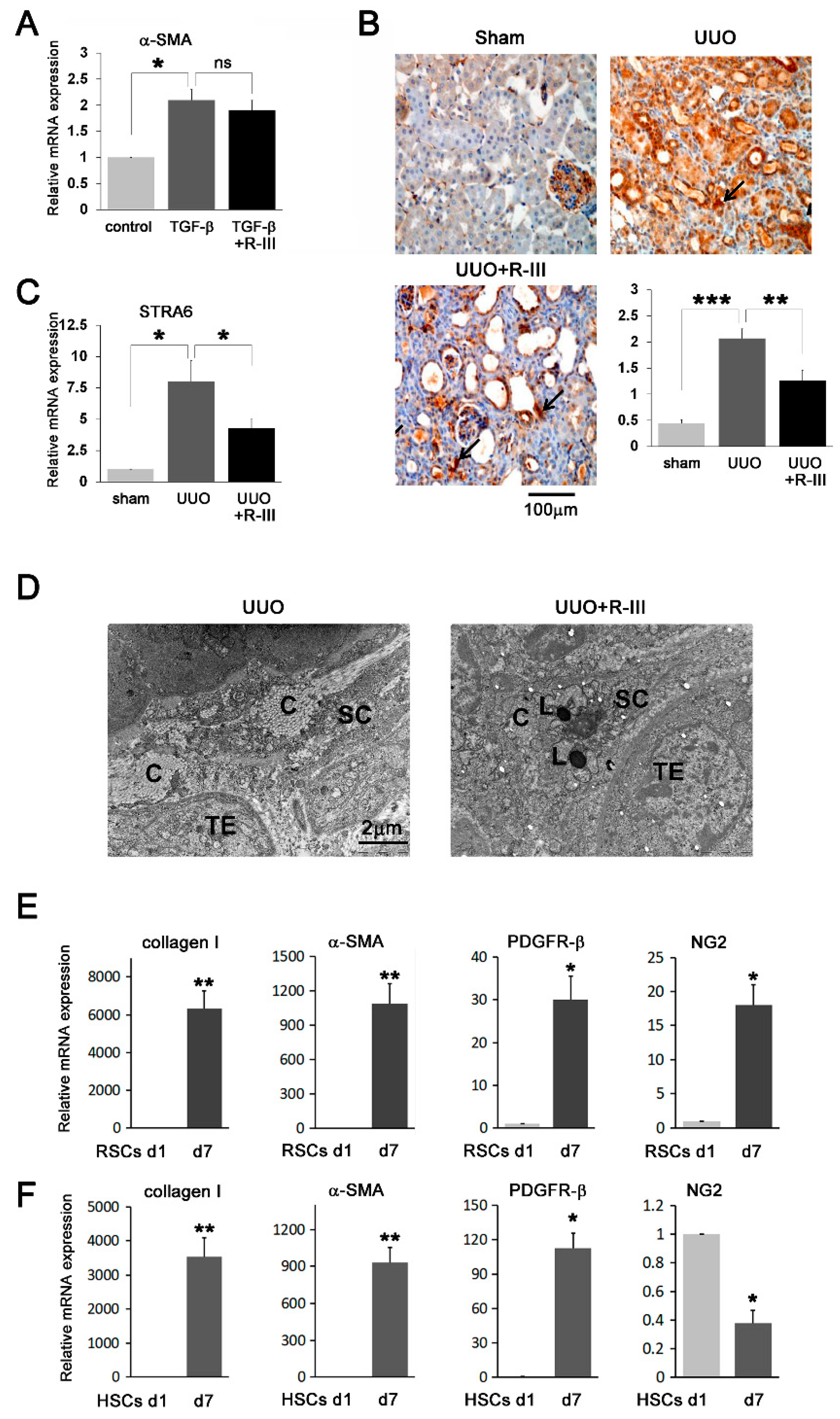 Biomedicines 08 00431 g006