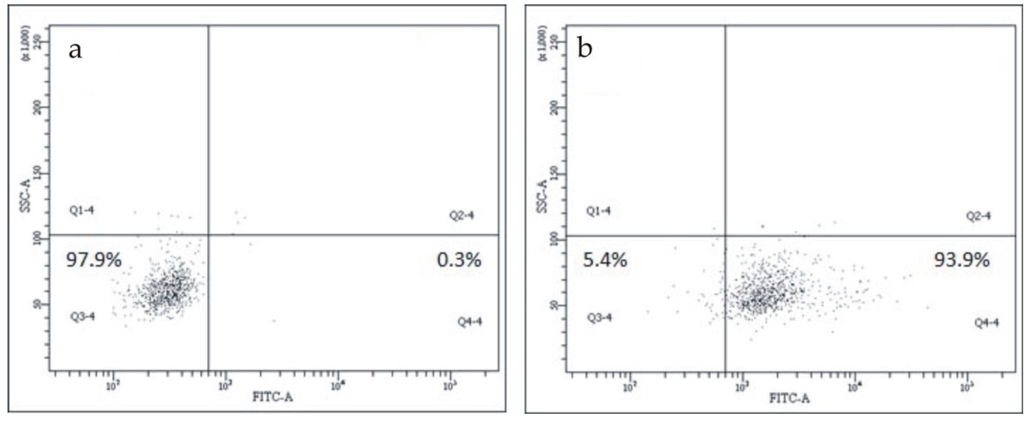 Biomedicines 08 00435 g004