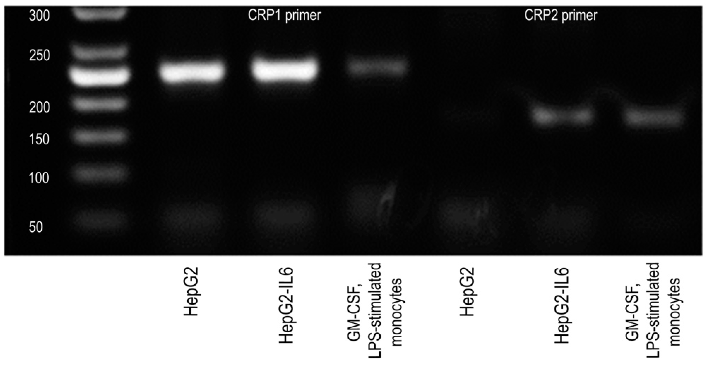 Biomedicines 08 00435 g006