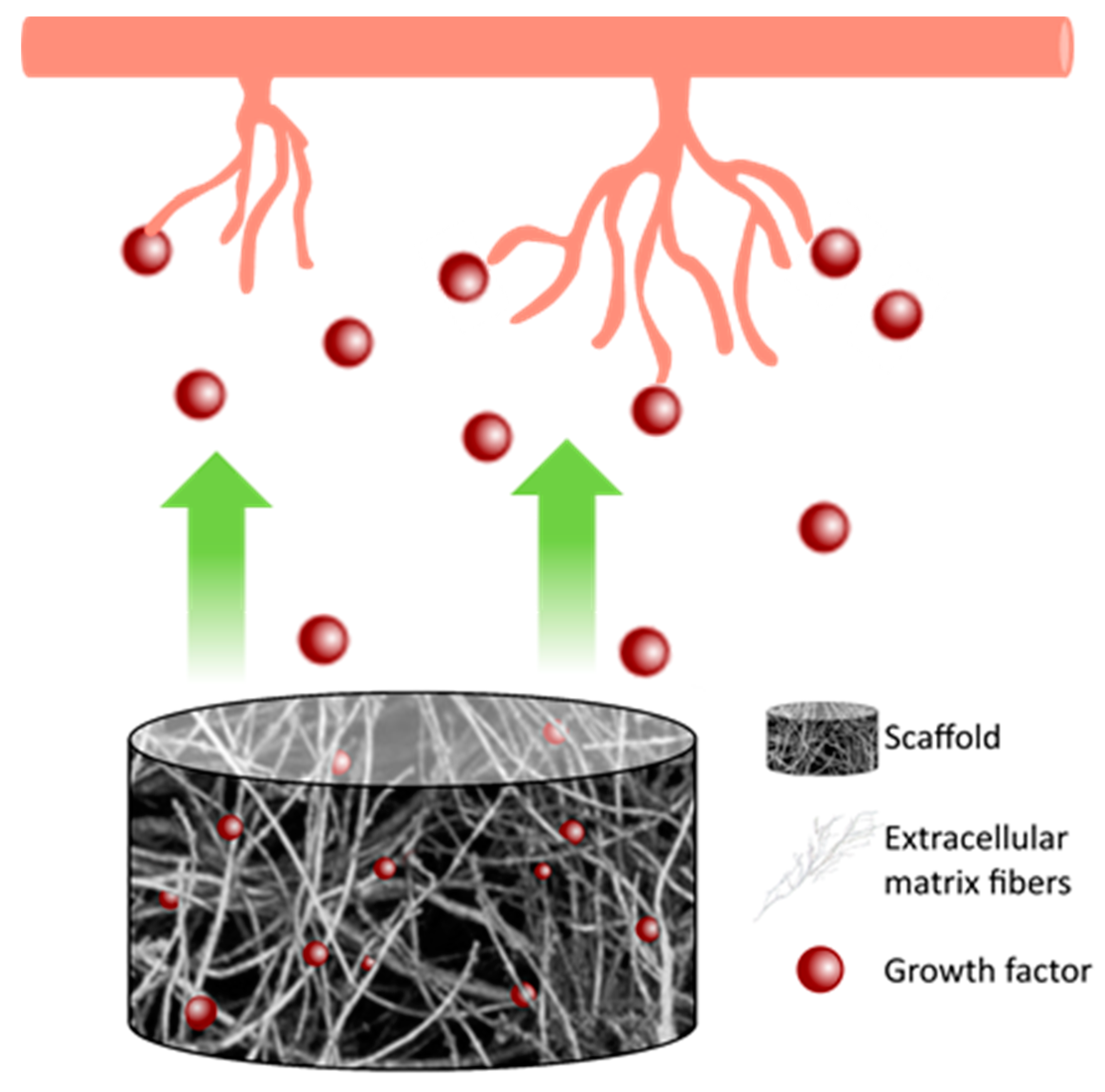Biomedicines 08 00436 g003 Biomedicines 08 00436 g003