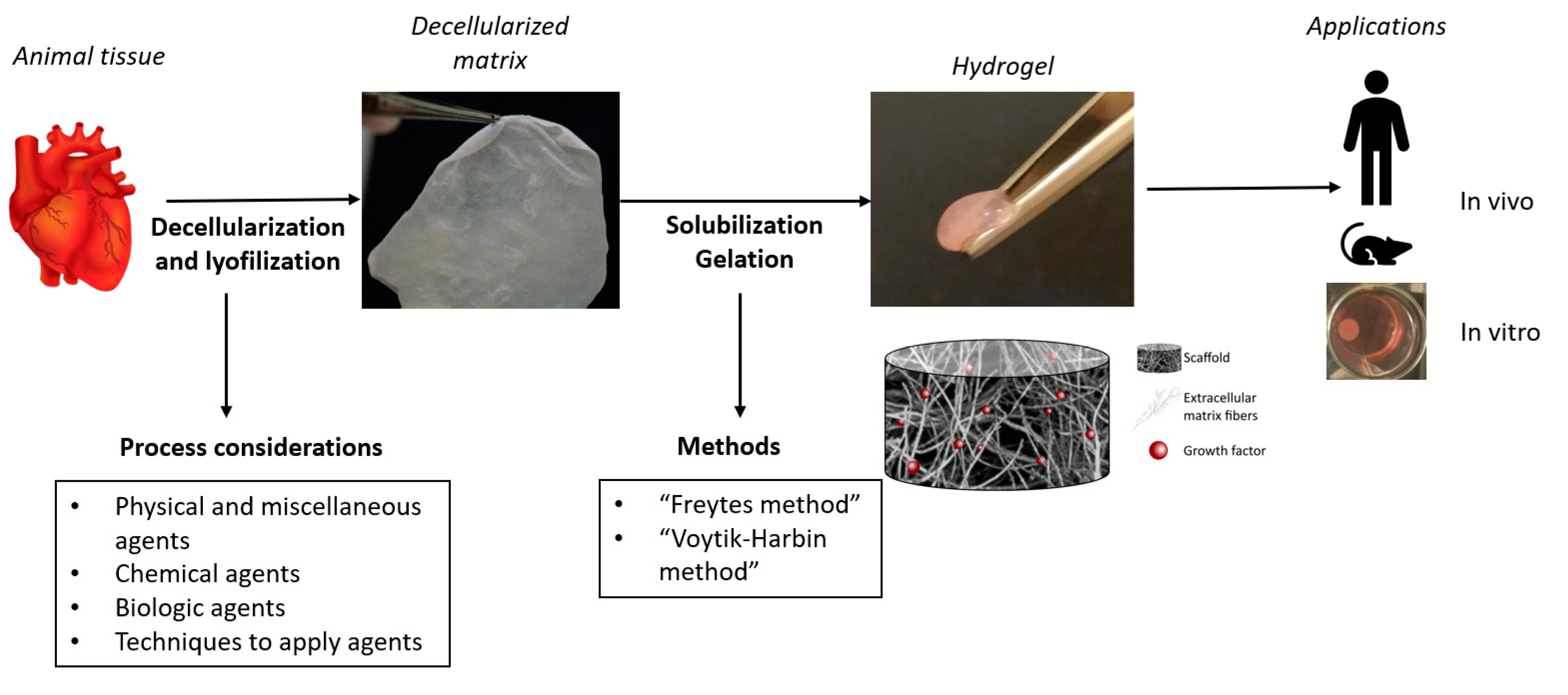 Biomedicines 08 00436 g004 Biomedicines 08 00436 g004