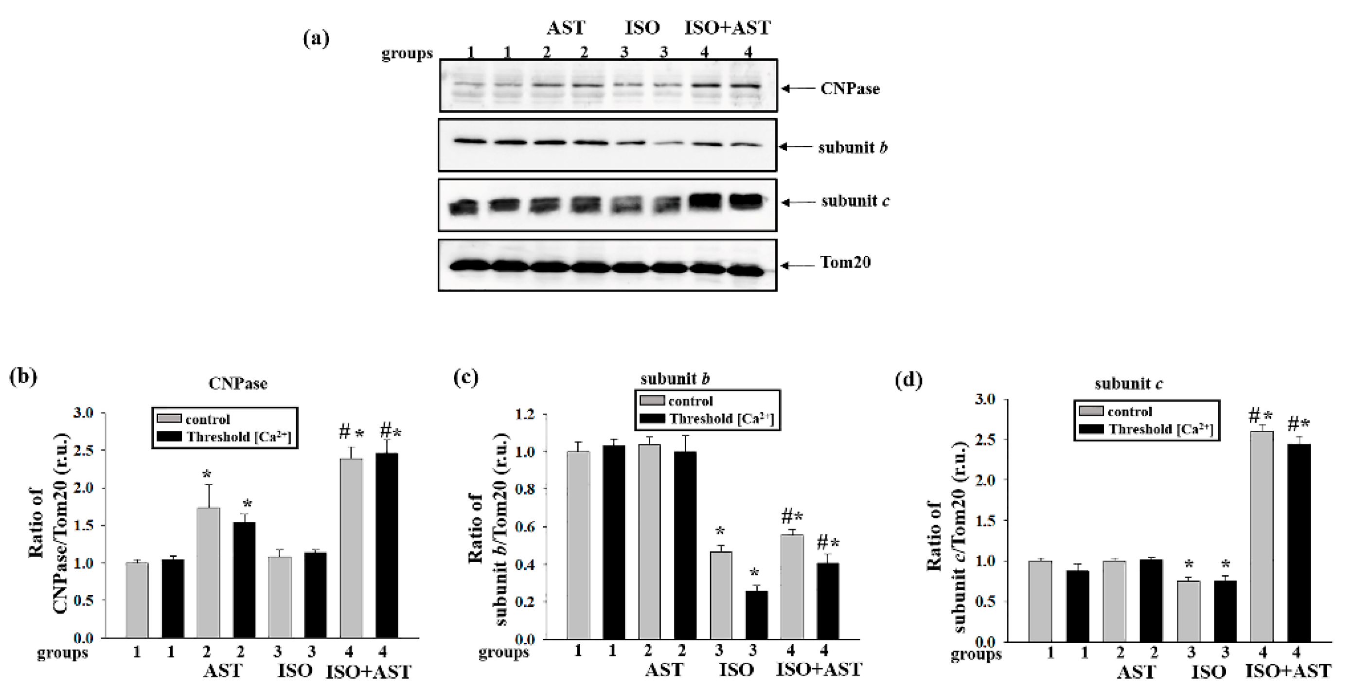 Biomedicines 08 00437 g008 Biomedicines 08 00437 g008