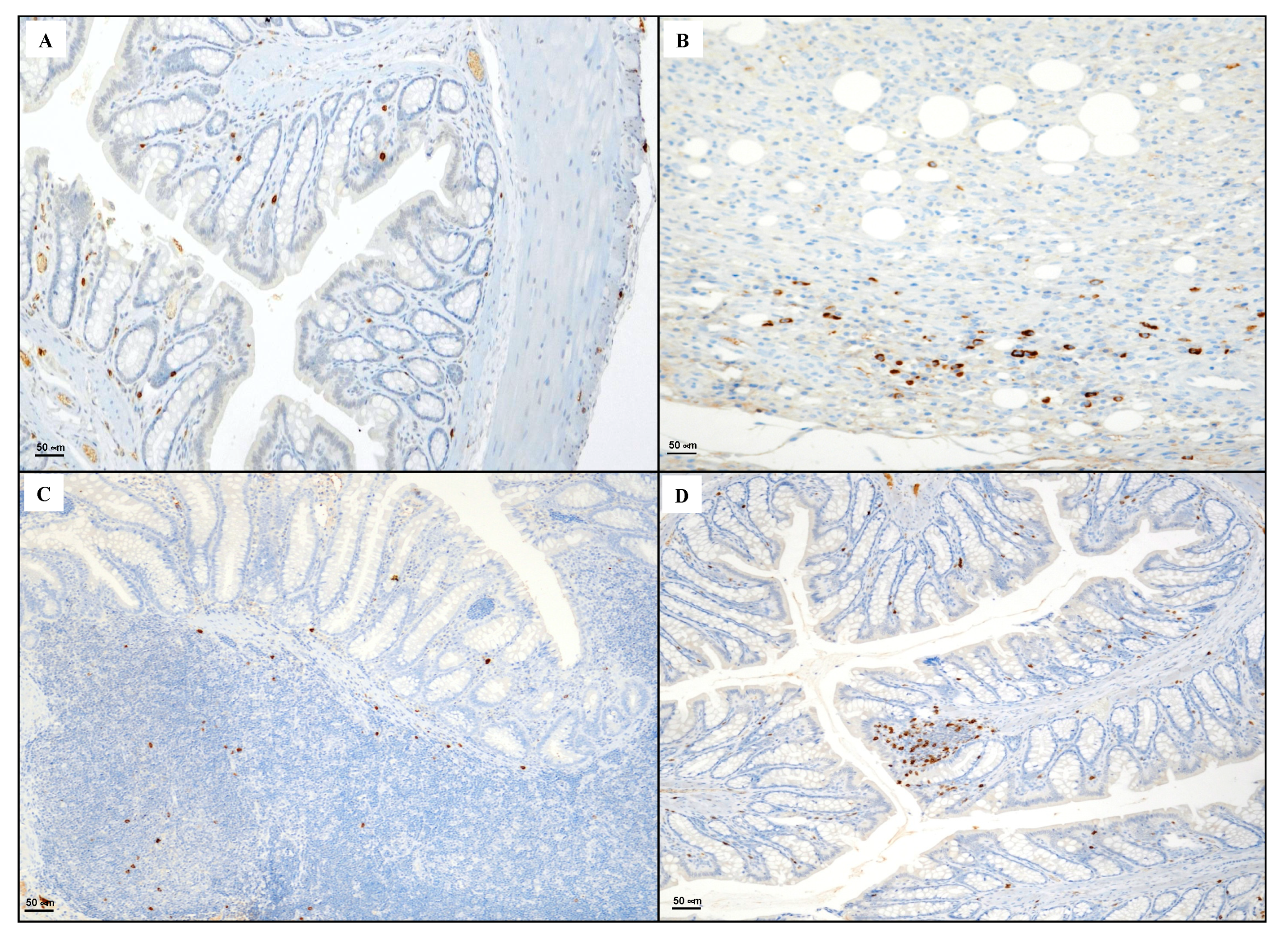 Biomedicines 08 00438 g005