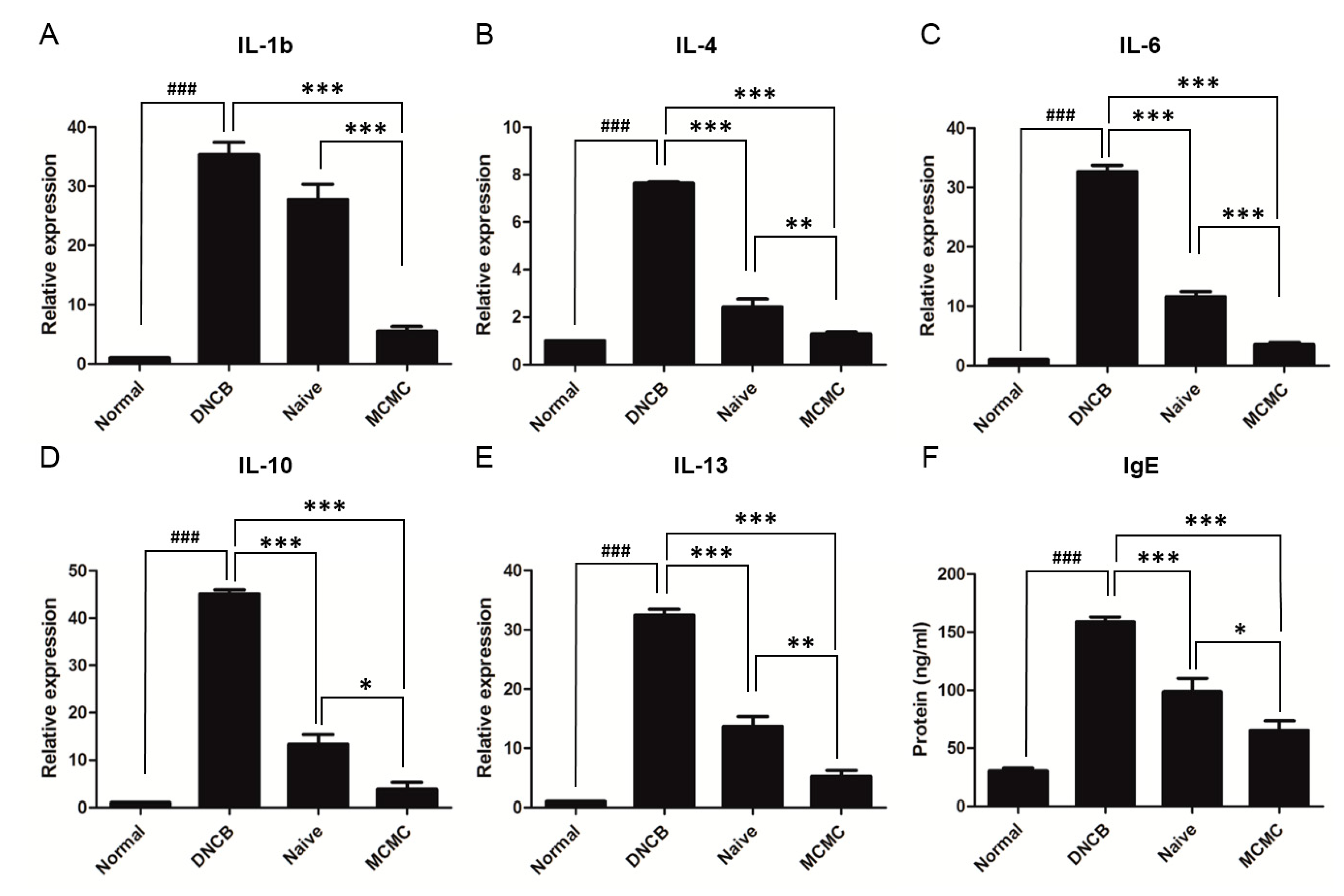 Biomedicines 08 00439 g004