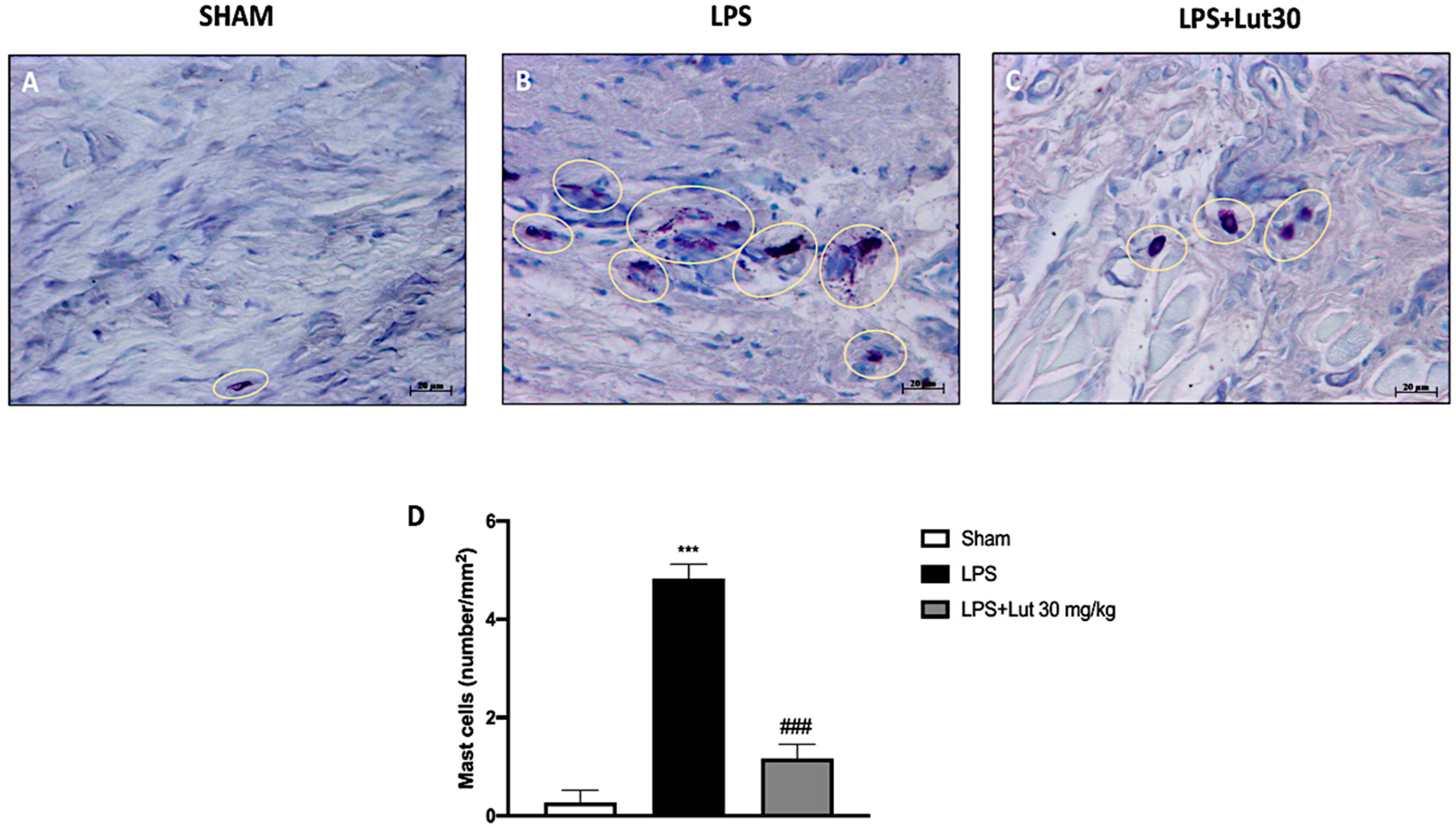 Biomedicines 08 00442 g005 Biomedicines 08 00442 g005