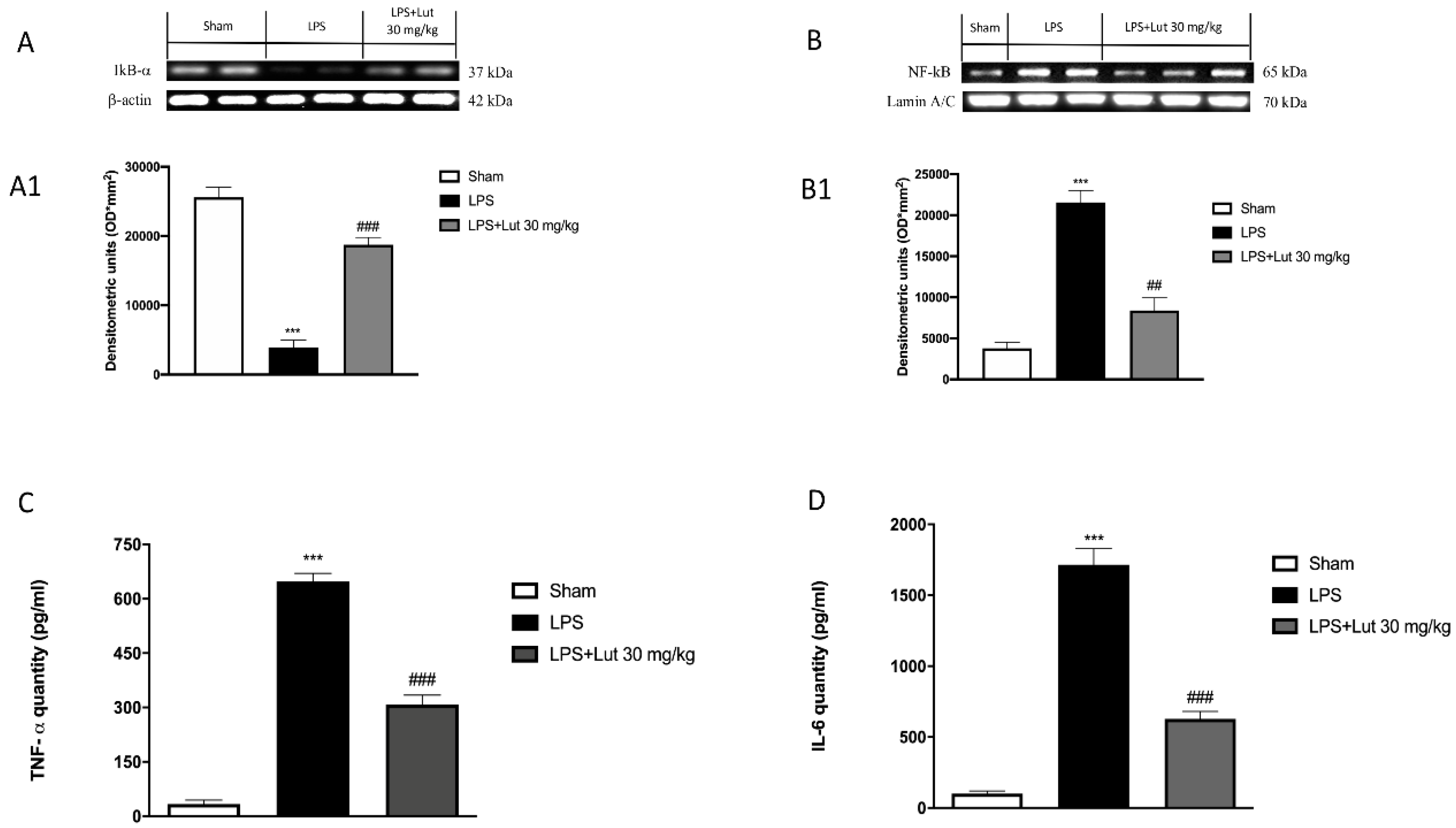 Biomedicines 08 00442 g006 Biomedicines 08 00442 g006