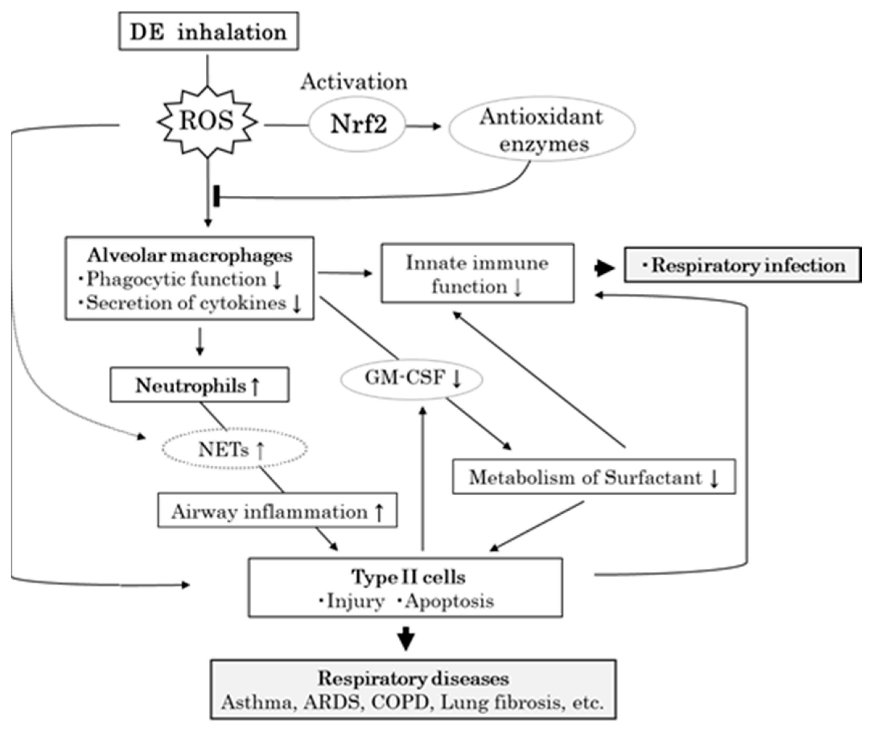 Biomedicines 08 00443 g007 Biomedicines 08 00443 g007