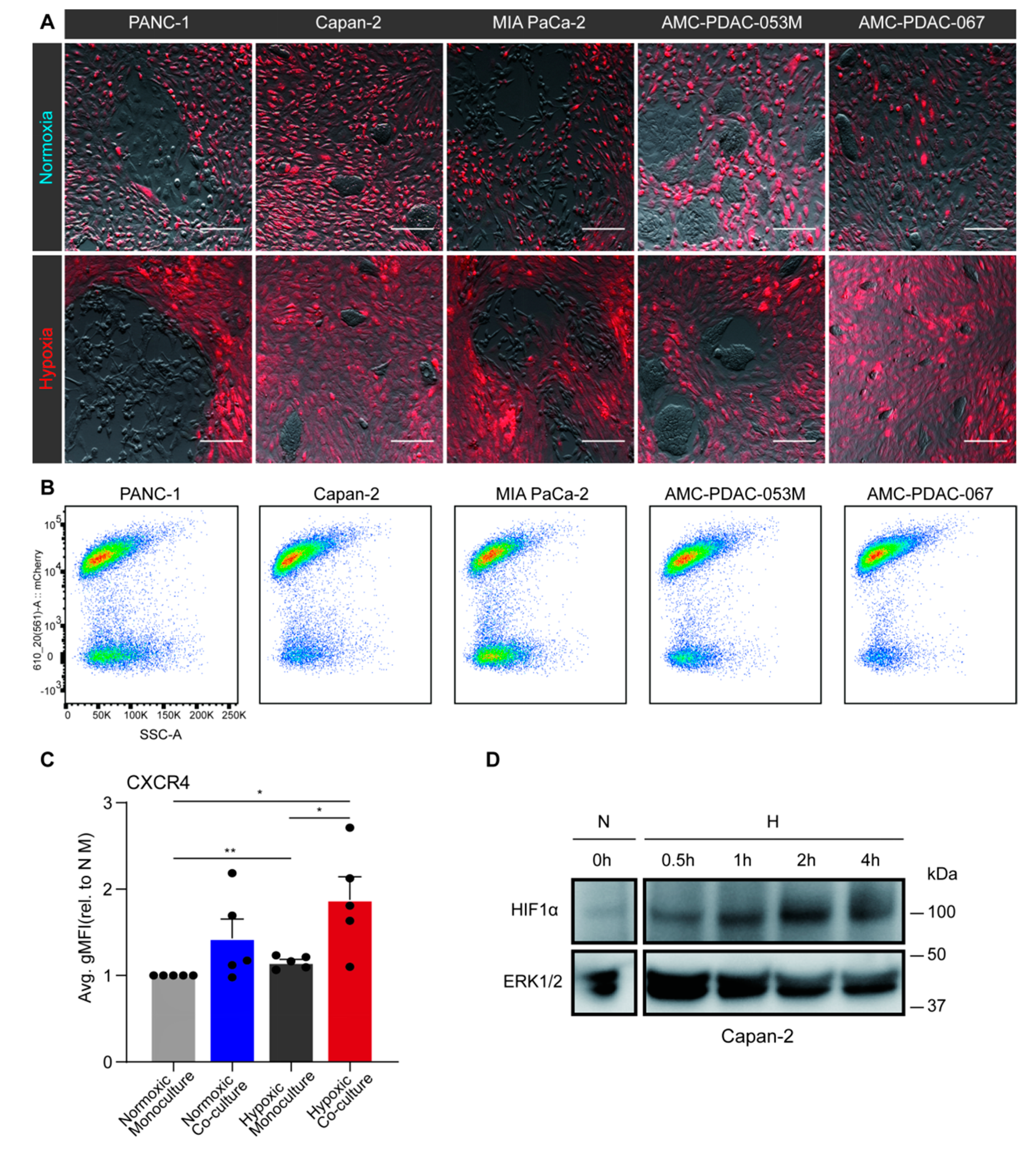 Biomedicines 08 00444 g002 Biomedicines 08 00444 g002