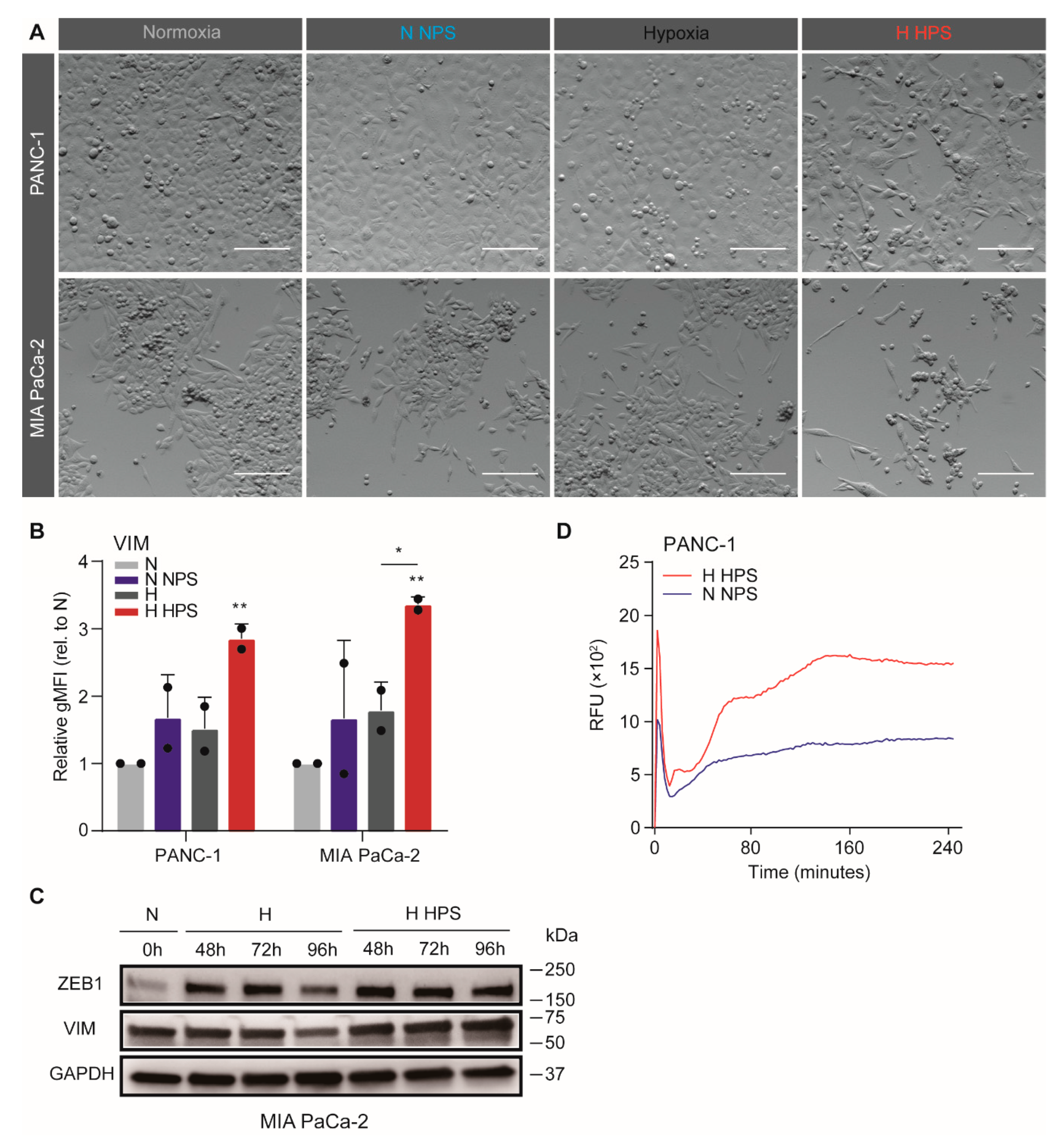 Biomedicines 08 00444 g003 Biomedicines 08 00444 g003