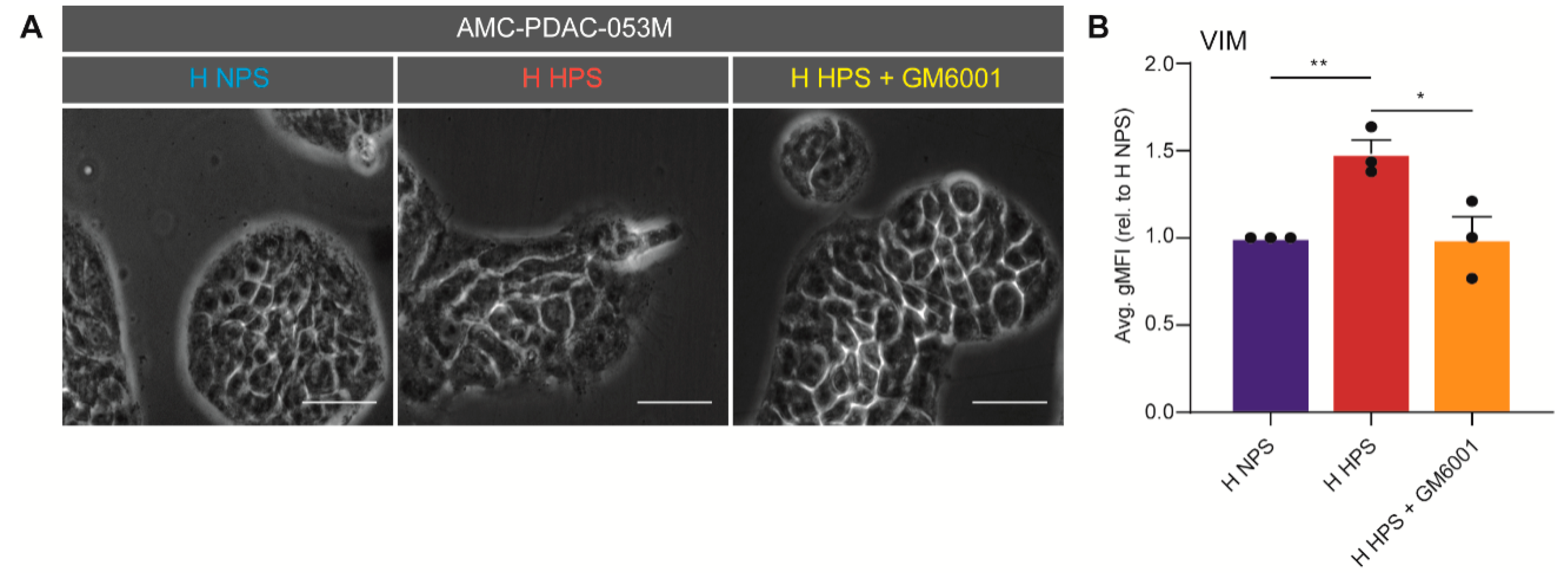 Biomedicines 08 00444 g005 Biomedicines 08 00444 g005
