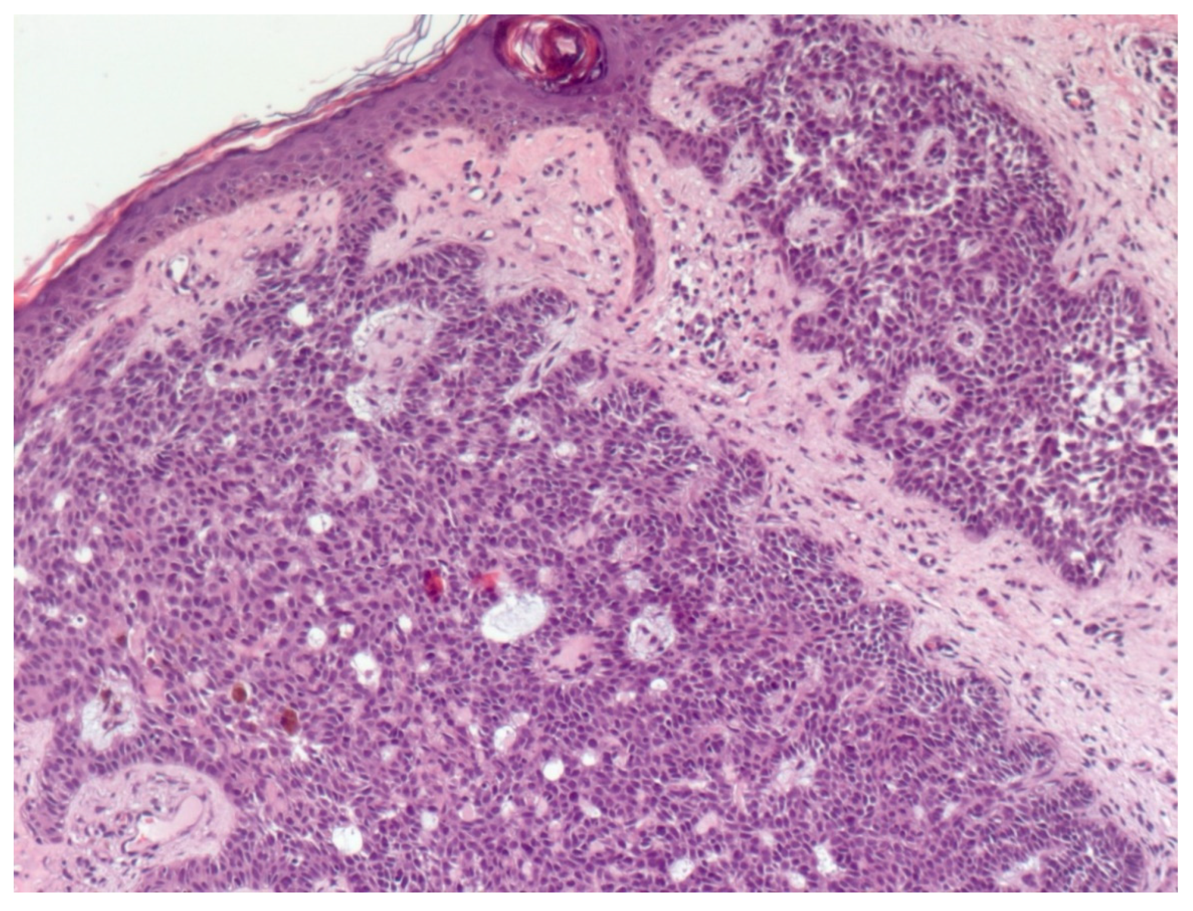 Biomedicines 08 00449 g006