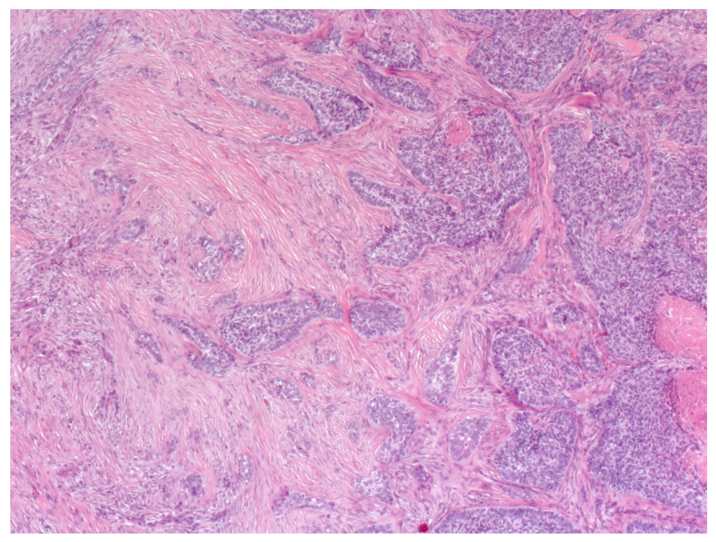 Biomedicines 08 00449 g009