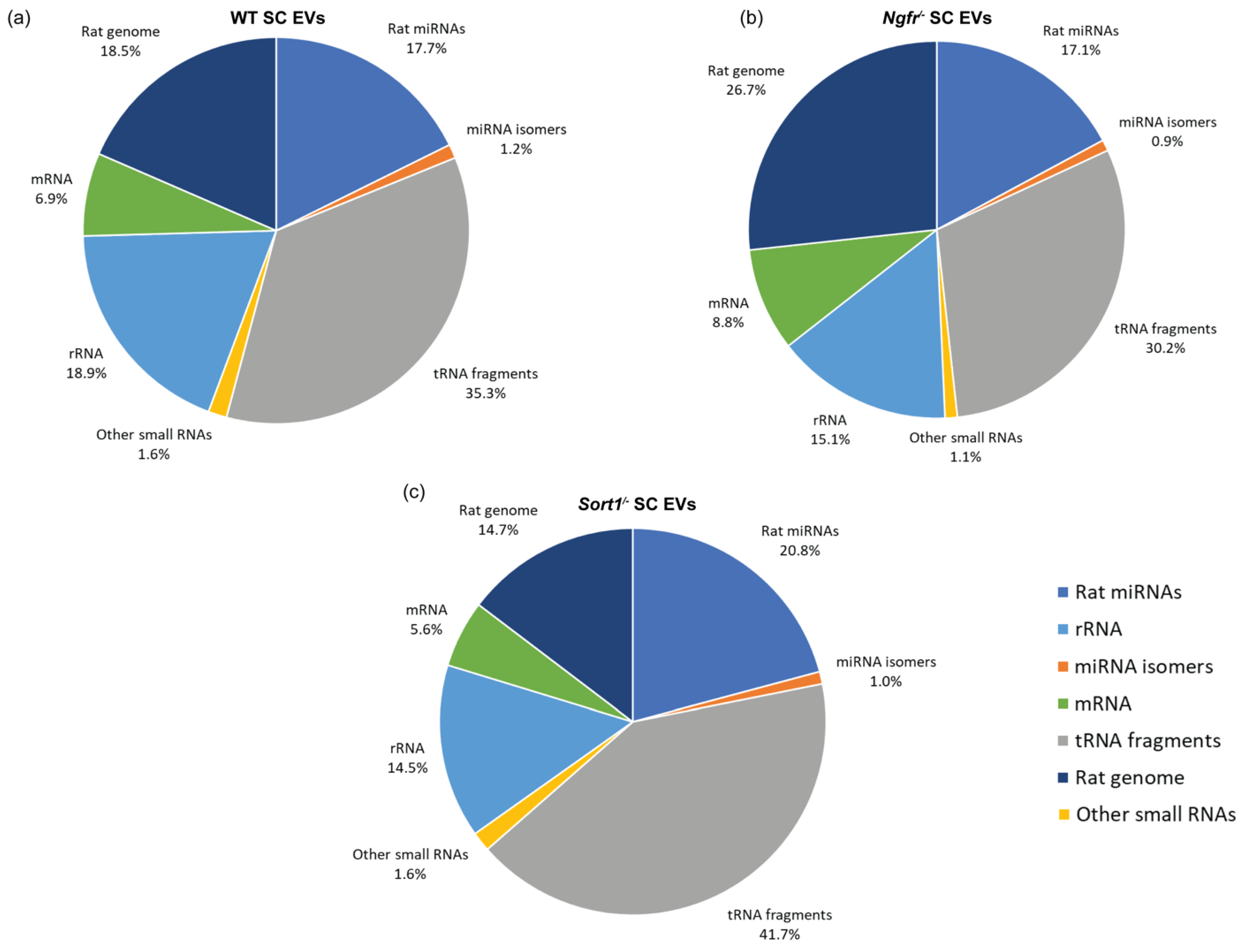 Biomedicines 08 00450 g003