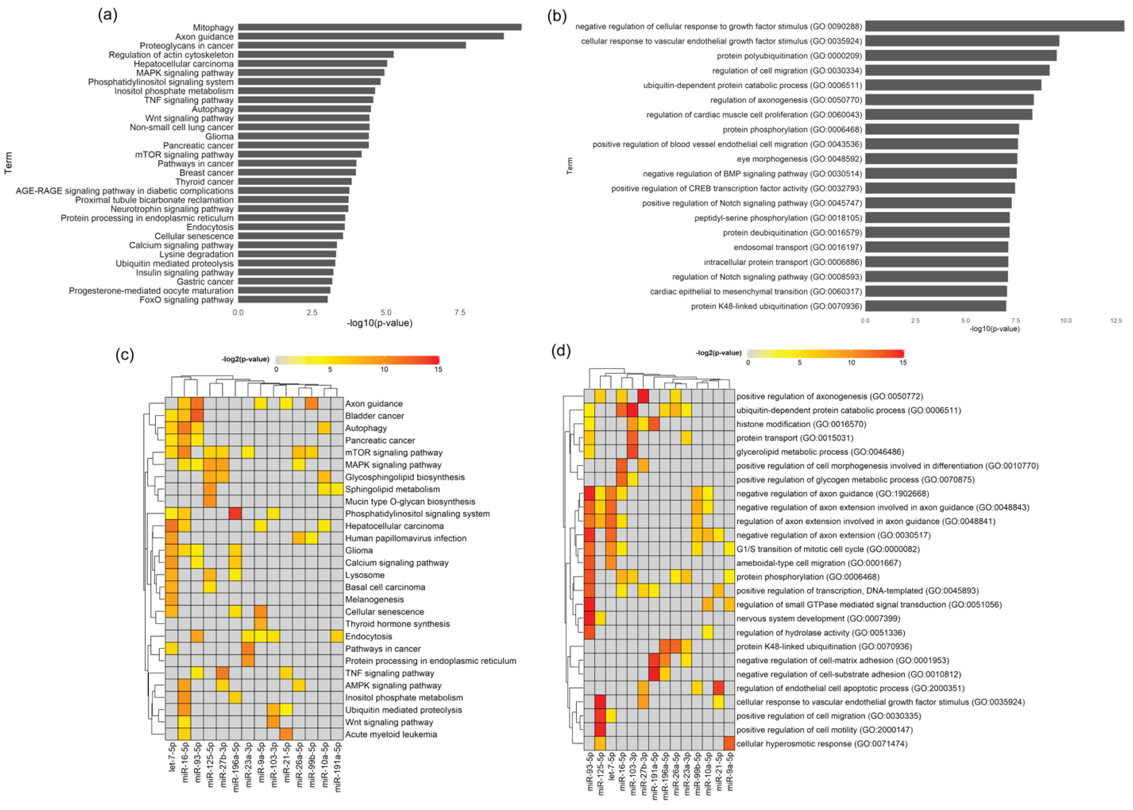 Biomedicines 08 00450 g007