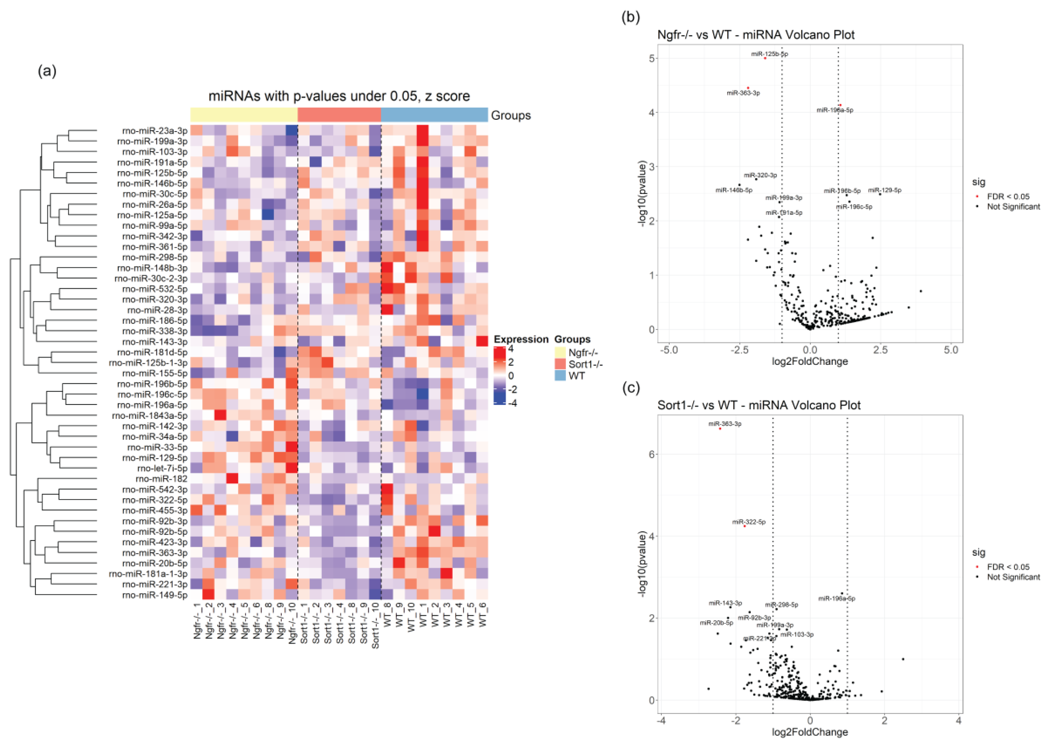 Biomedicines 08 00450 g009