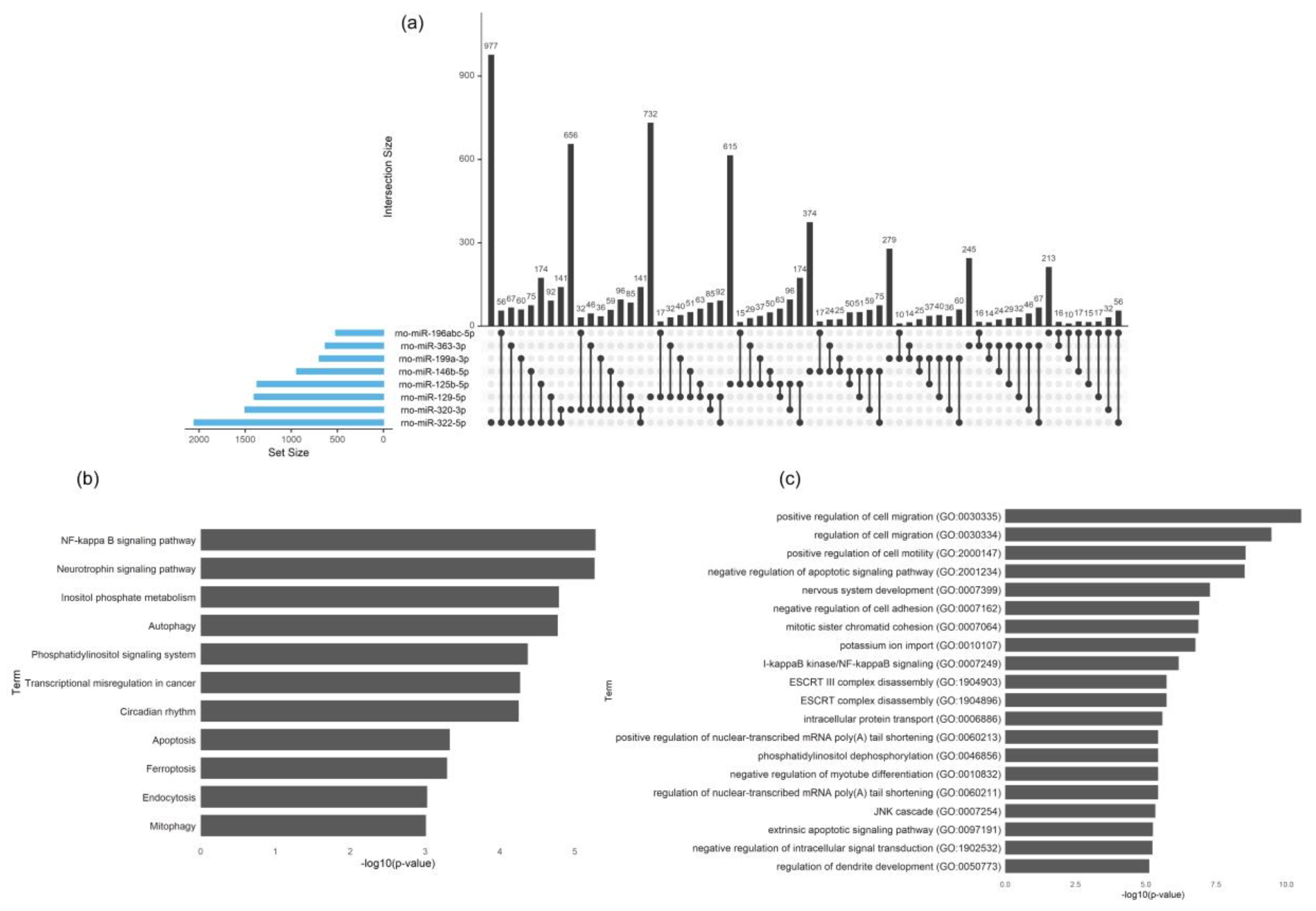 Biomedicines 08 00450 g010