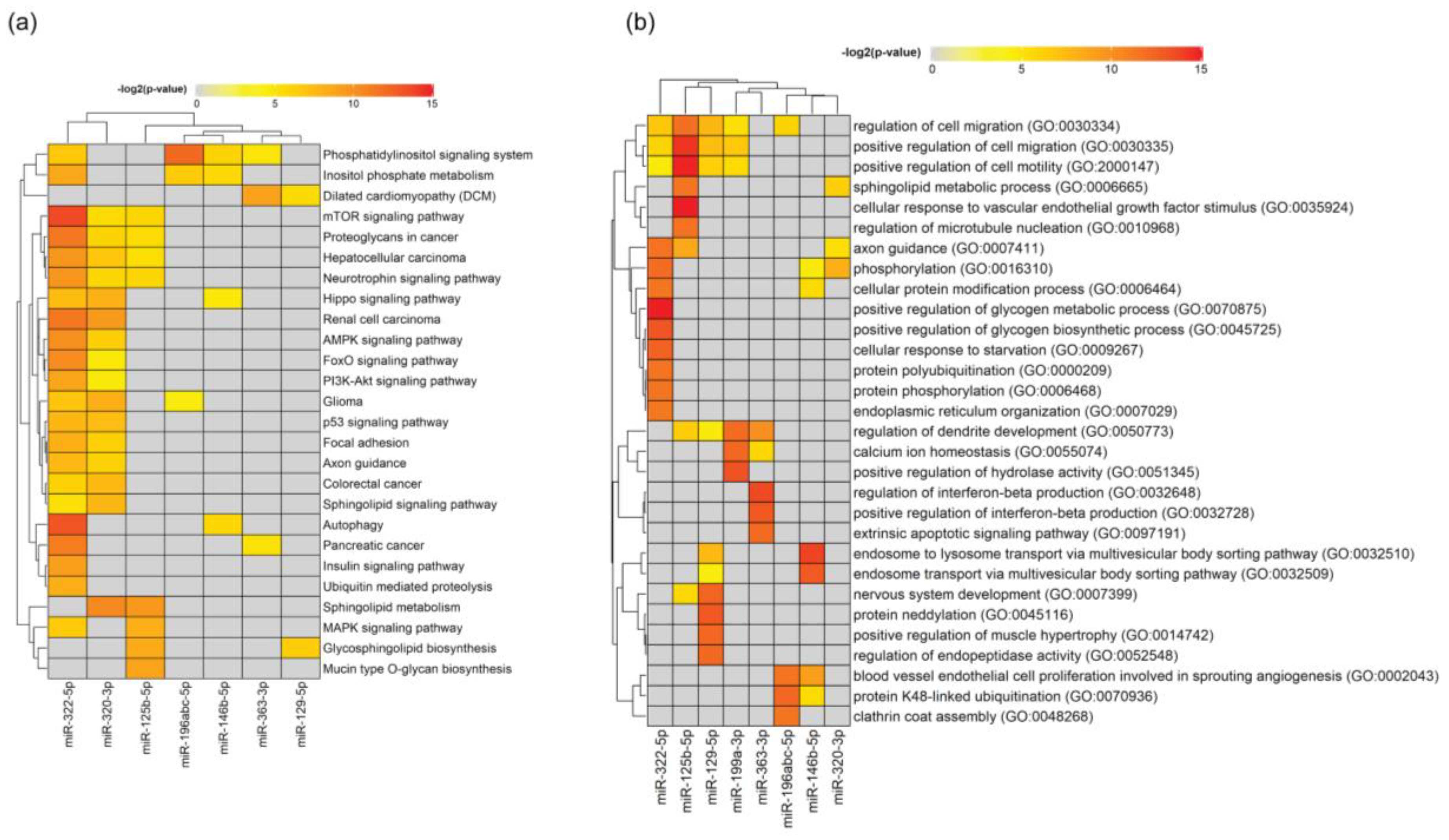 Biomedicines 08 00450 g011