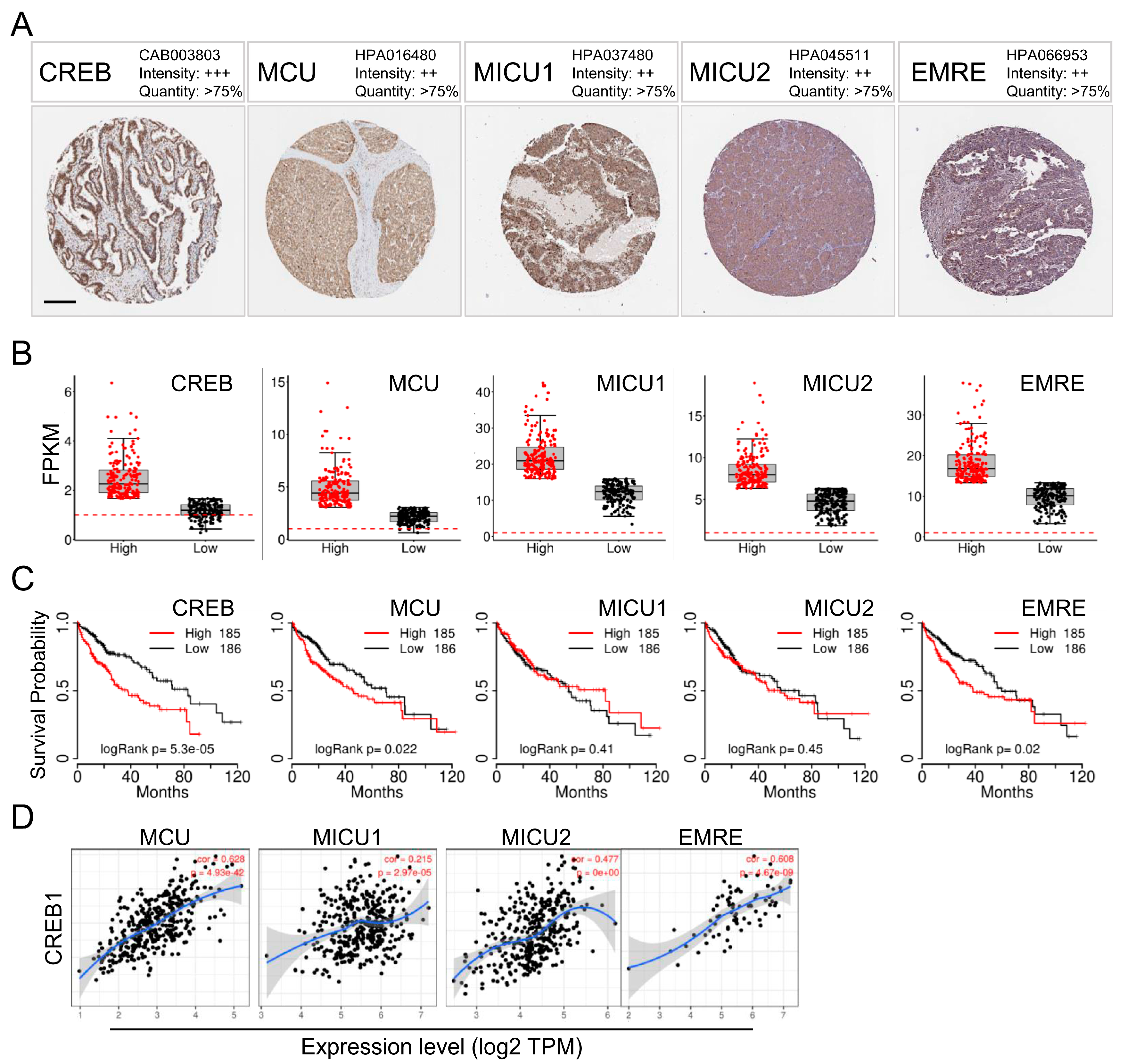 Biomedicines 08 00451 g001 Biomedicines 08 00451 g001