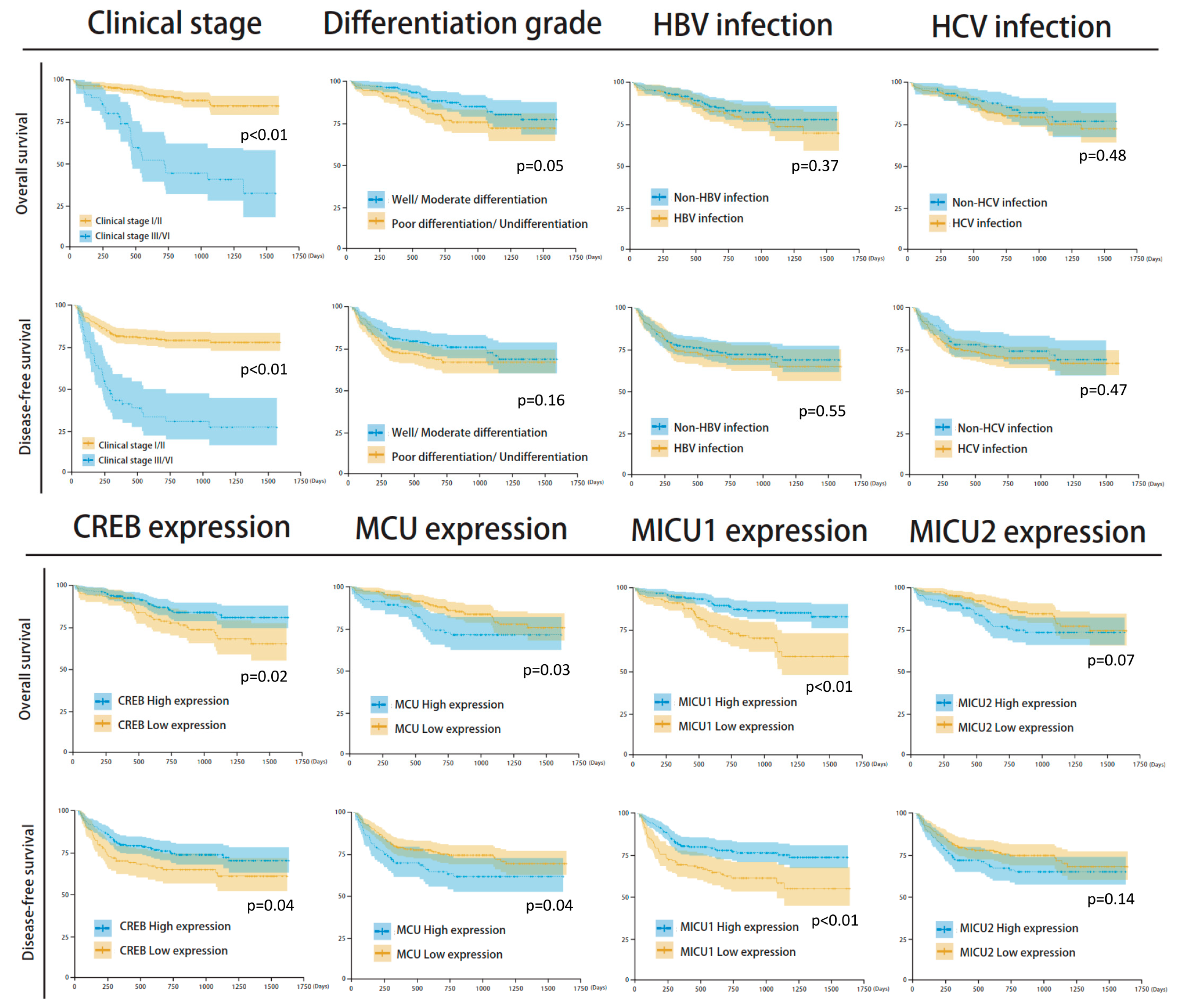 Biomedicines 08 00451 g004 Biomedicines 08 00451 g004