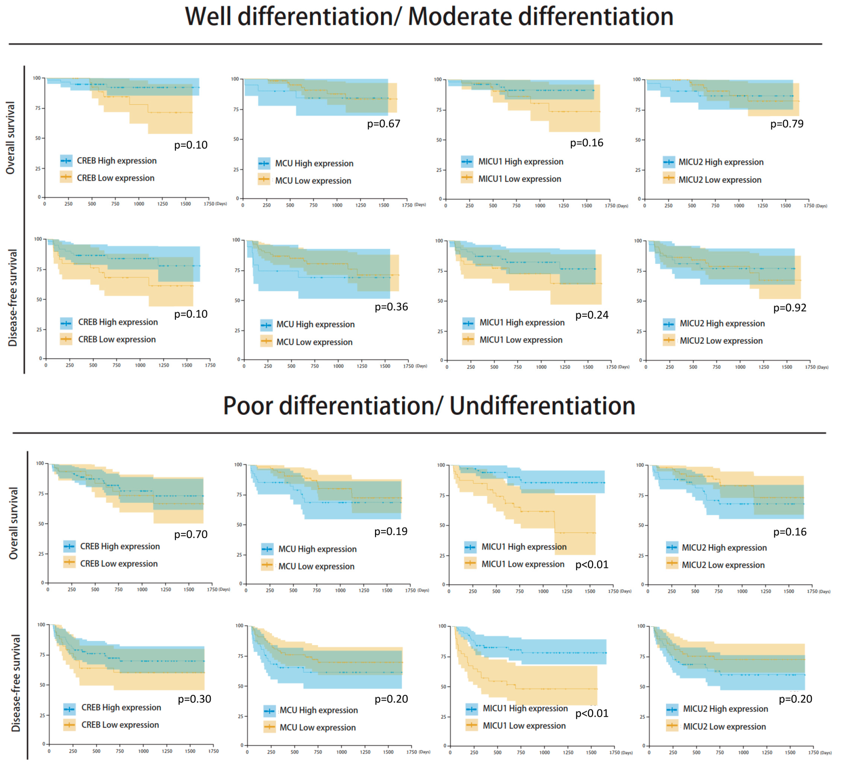 Biomedicines 08 00451 g006 Biomedicines 08 00451 g006