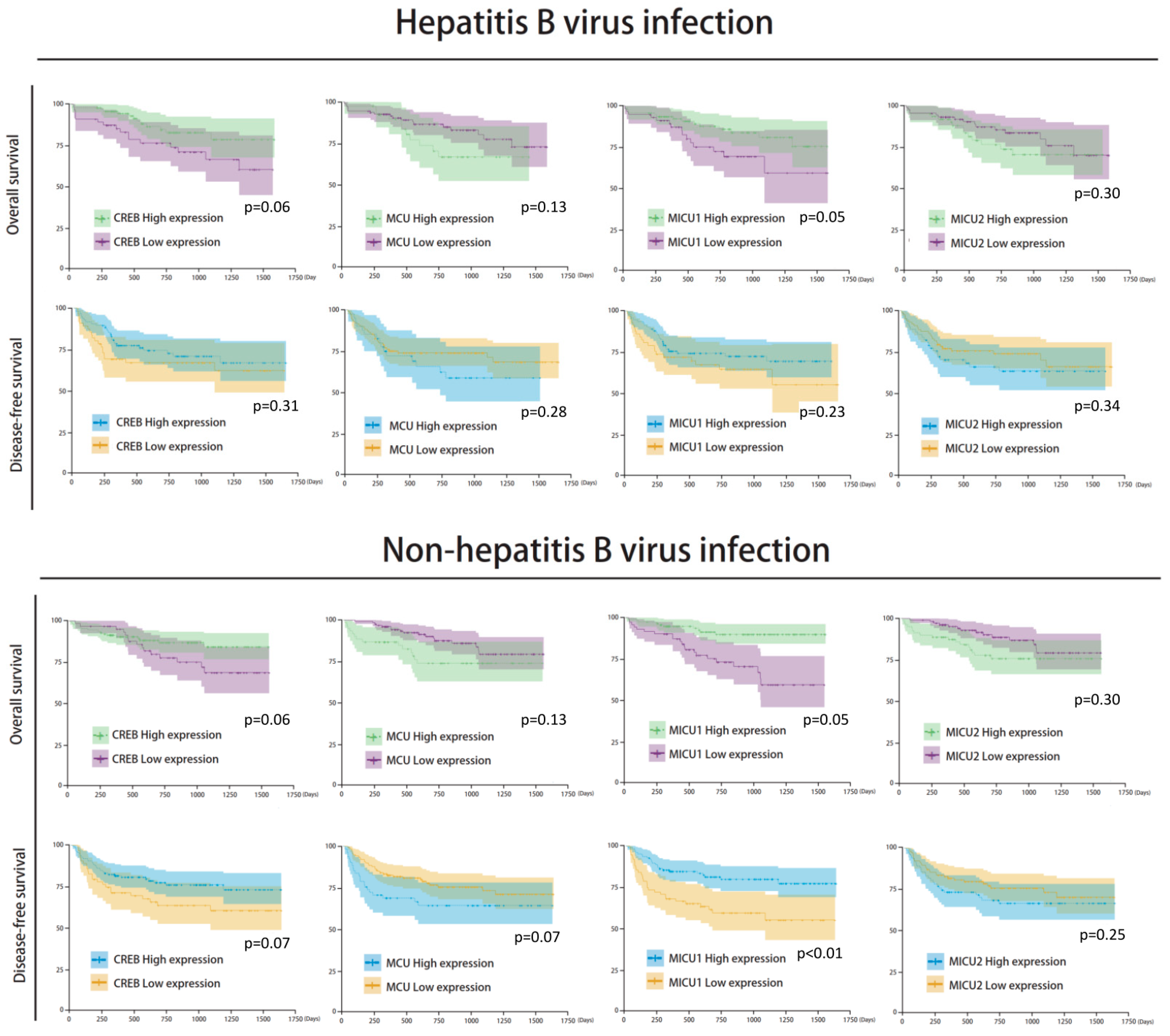 Biomedicines 08 00451 g007 Biomedicines 08 00451 g007