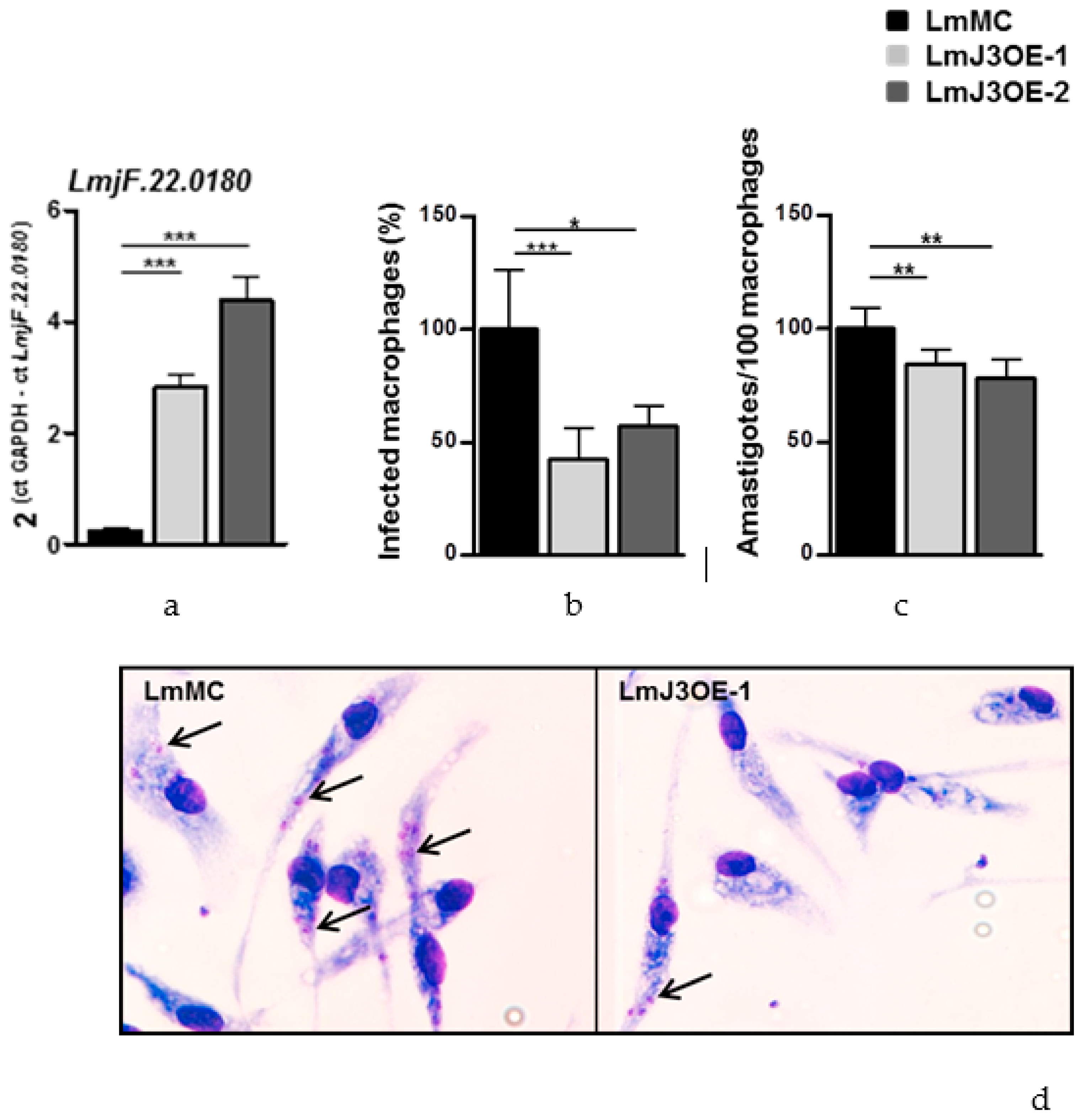 Biomedicines 08 00452 g001 Biomedicines 08 00452 g001