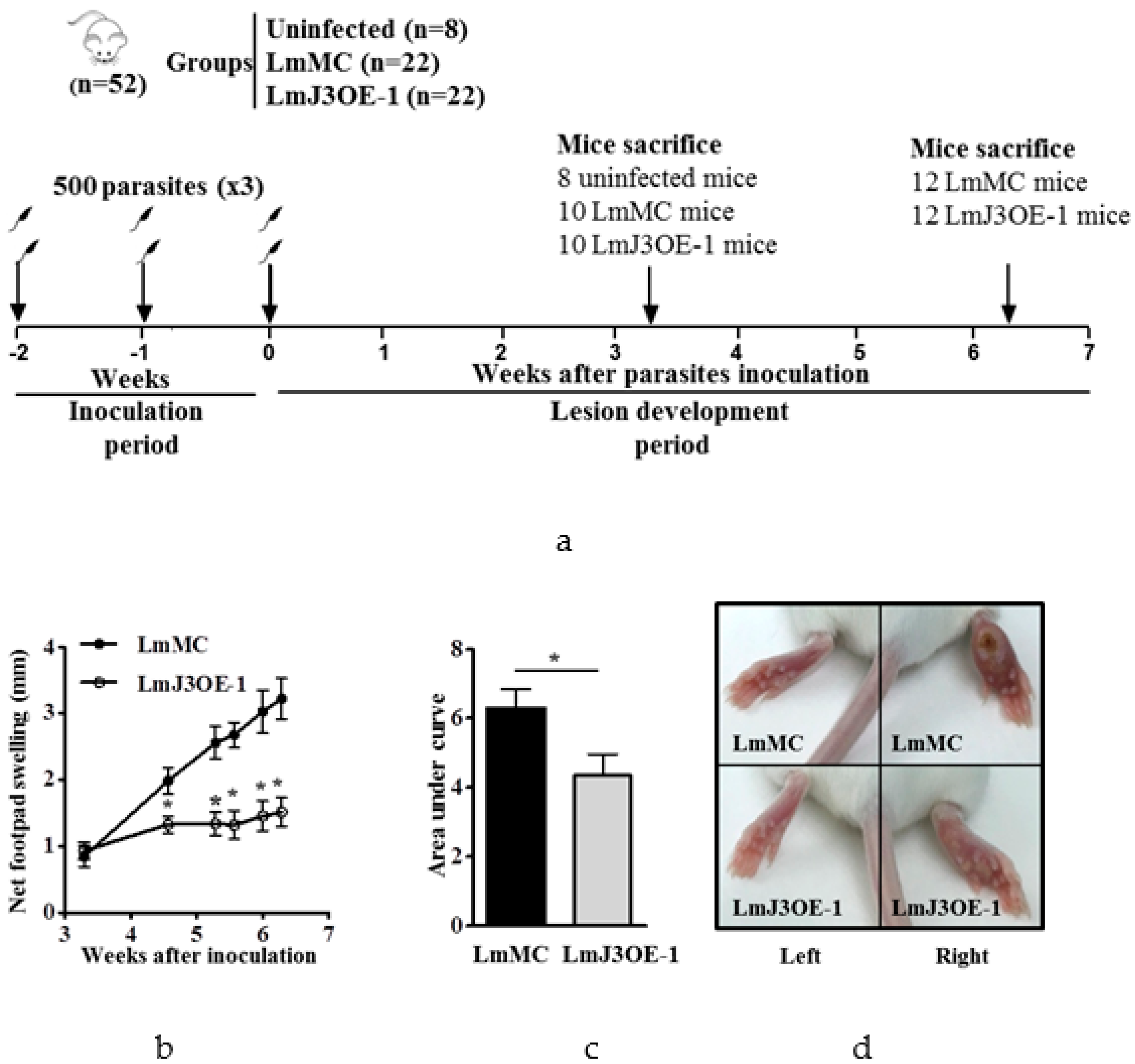 Biomedicines 08 00452 g003 Biomedicines 08 00452 g003