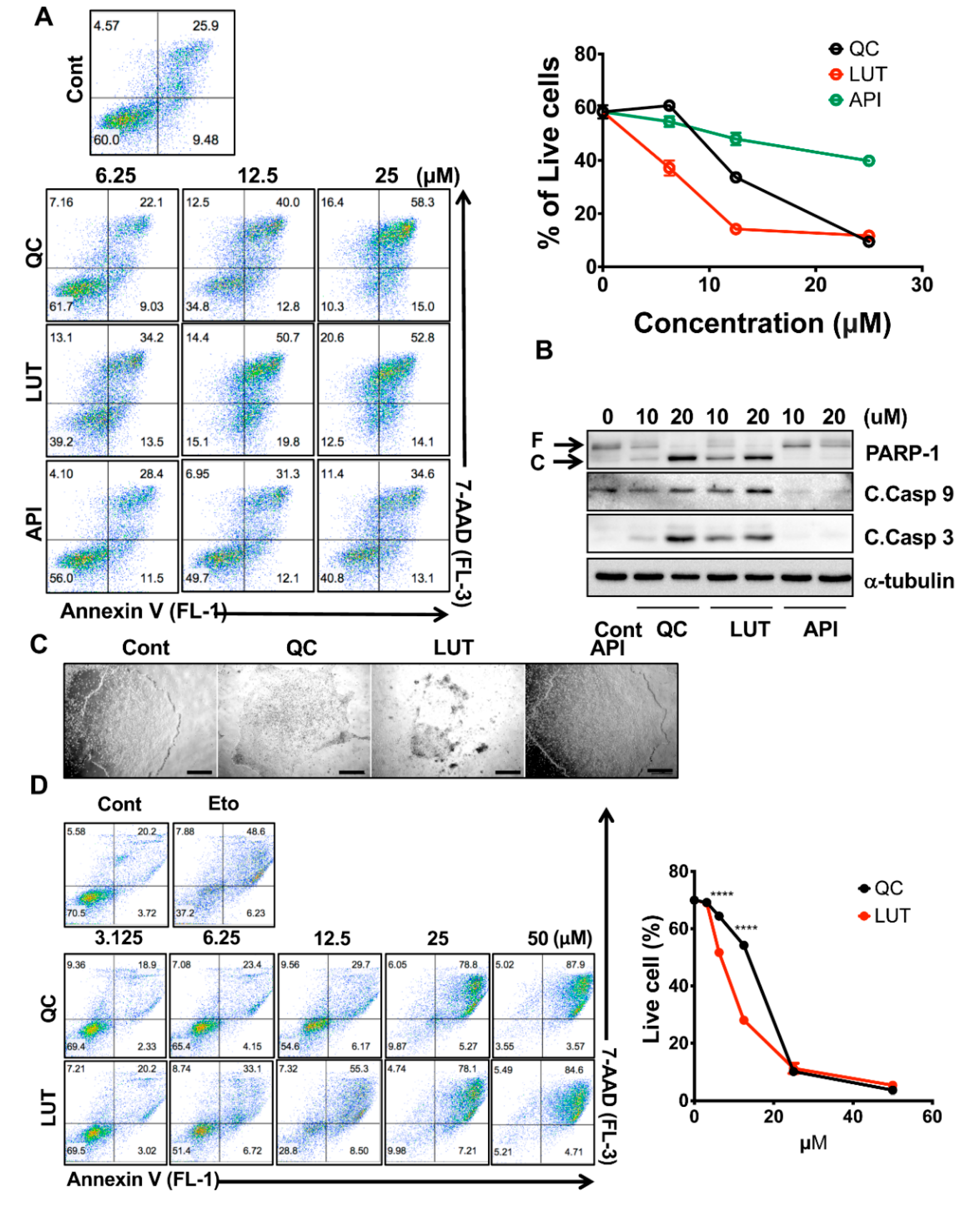Biomedicines 08 00453 g002a Biomedicines 08 00453 g002a