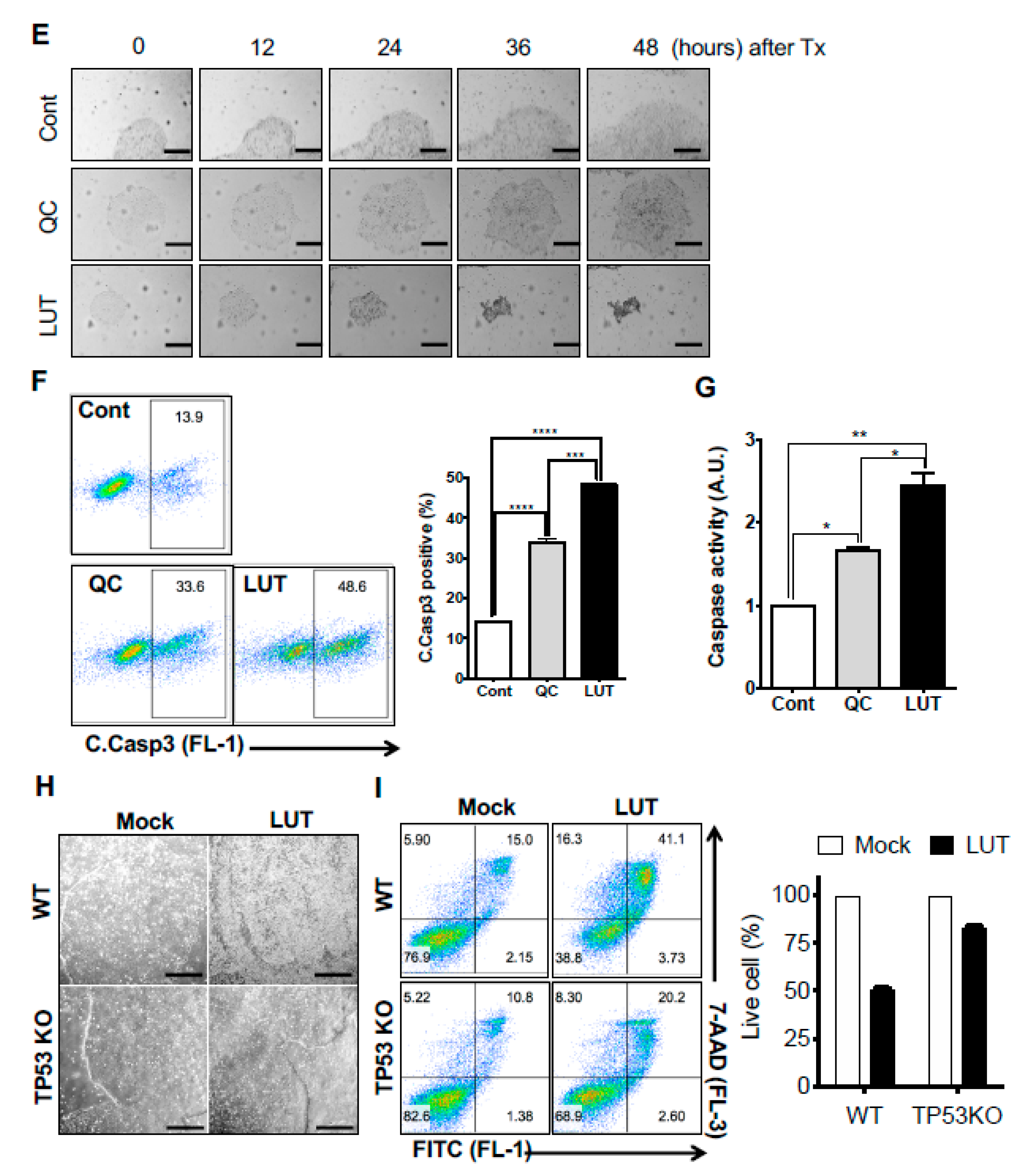 Biomedicines 08 00453 g002b Biomedicines 08 00453 g002b