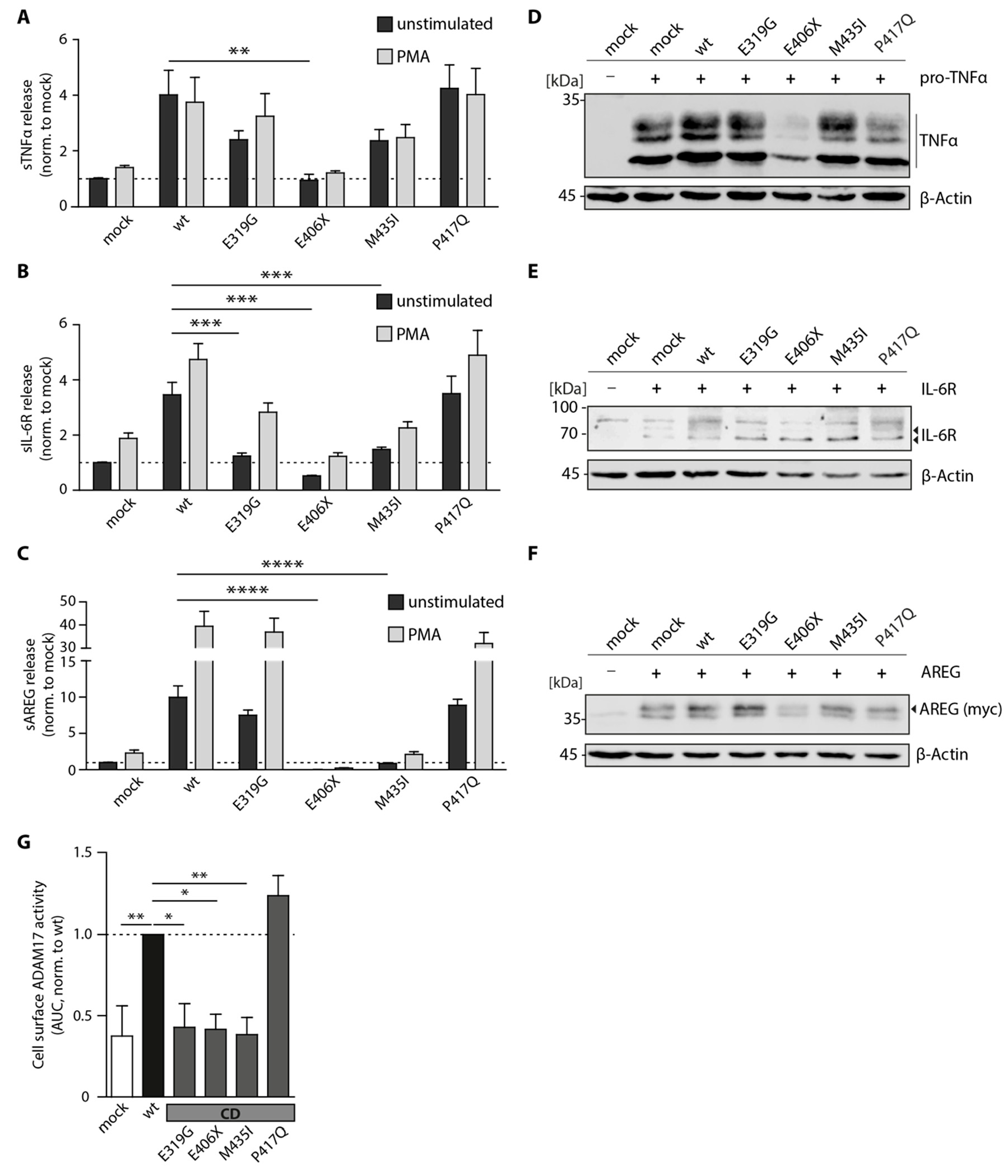 Biomedicines 08 00463 g002 Biomedicines 08 00463 g002