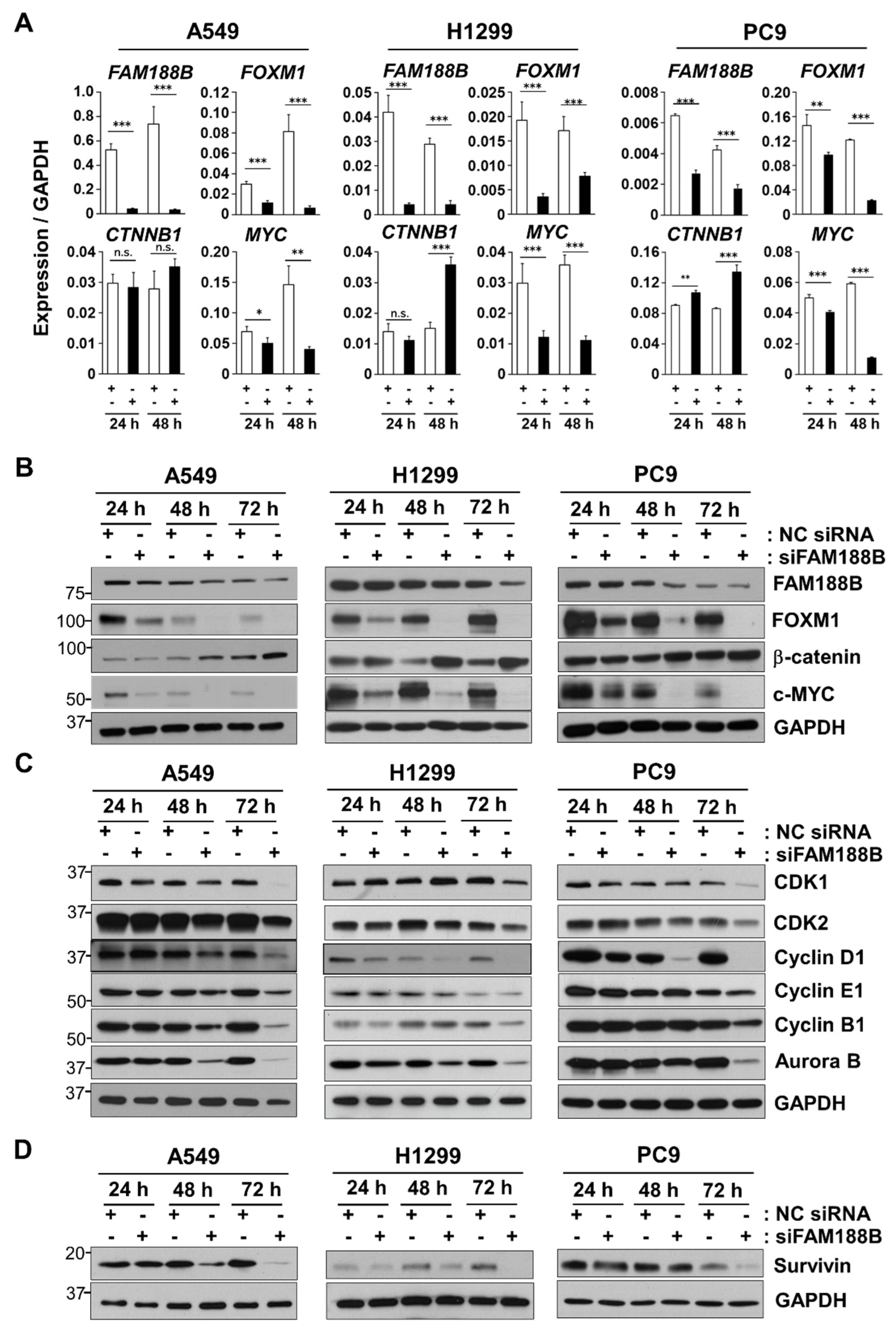 Biomedicines 08 00465 g003 Biomedicines 08 00465 g003