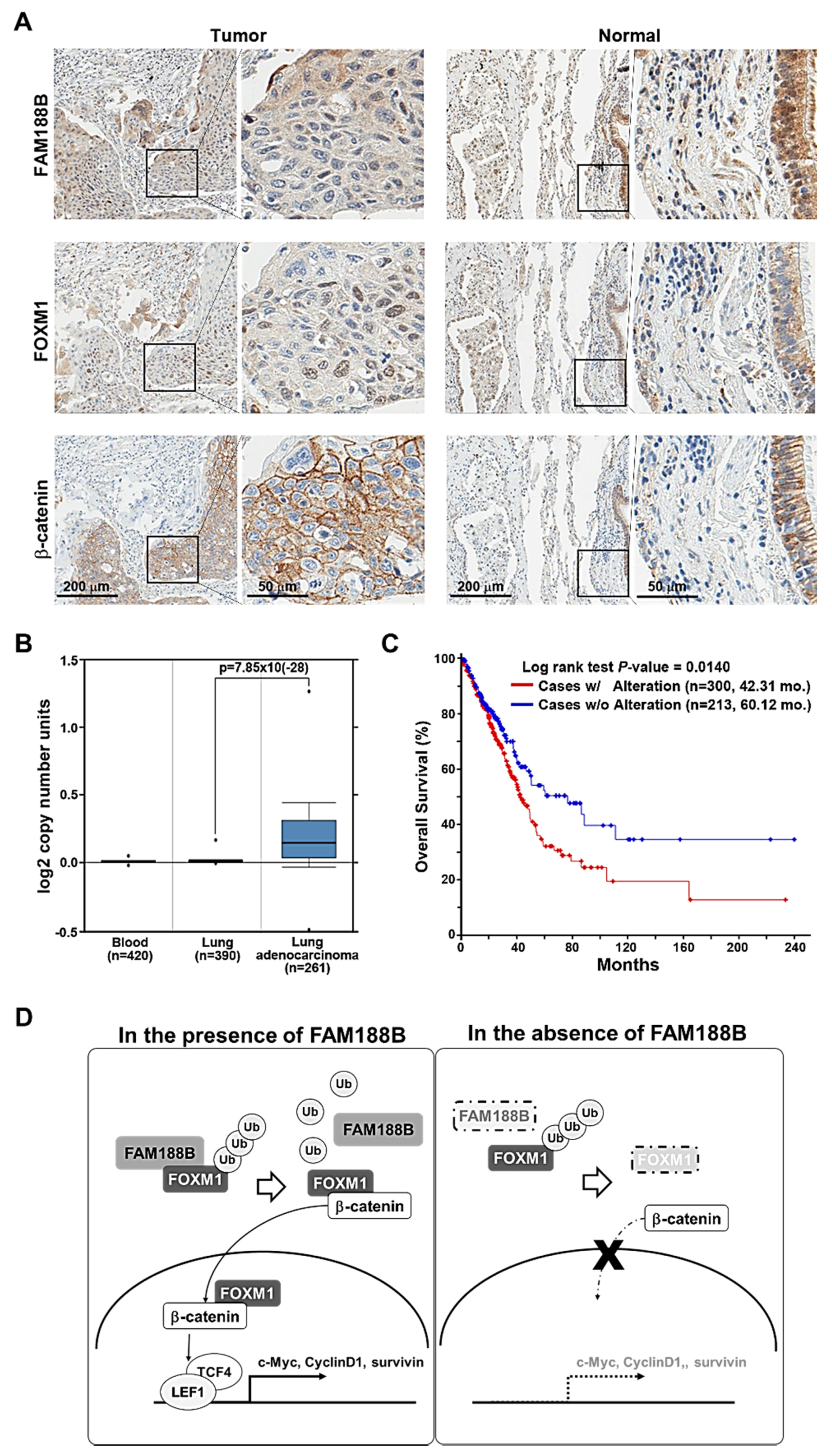 Biomedicines 08 00465 g007 Biomedicines 08 00465 g007