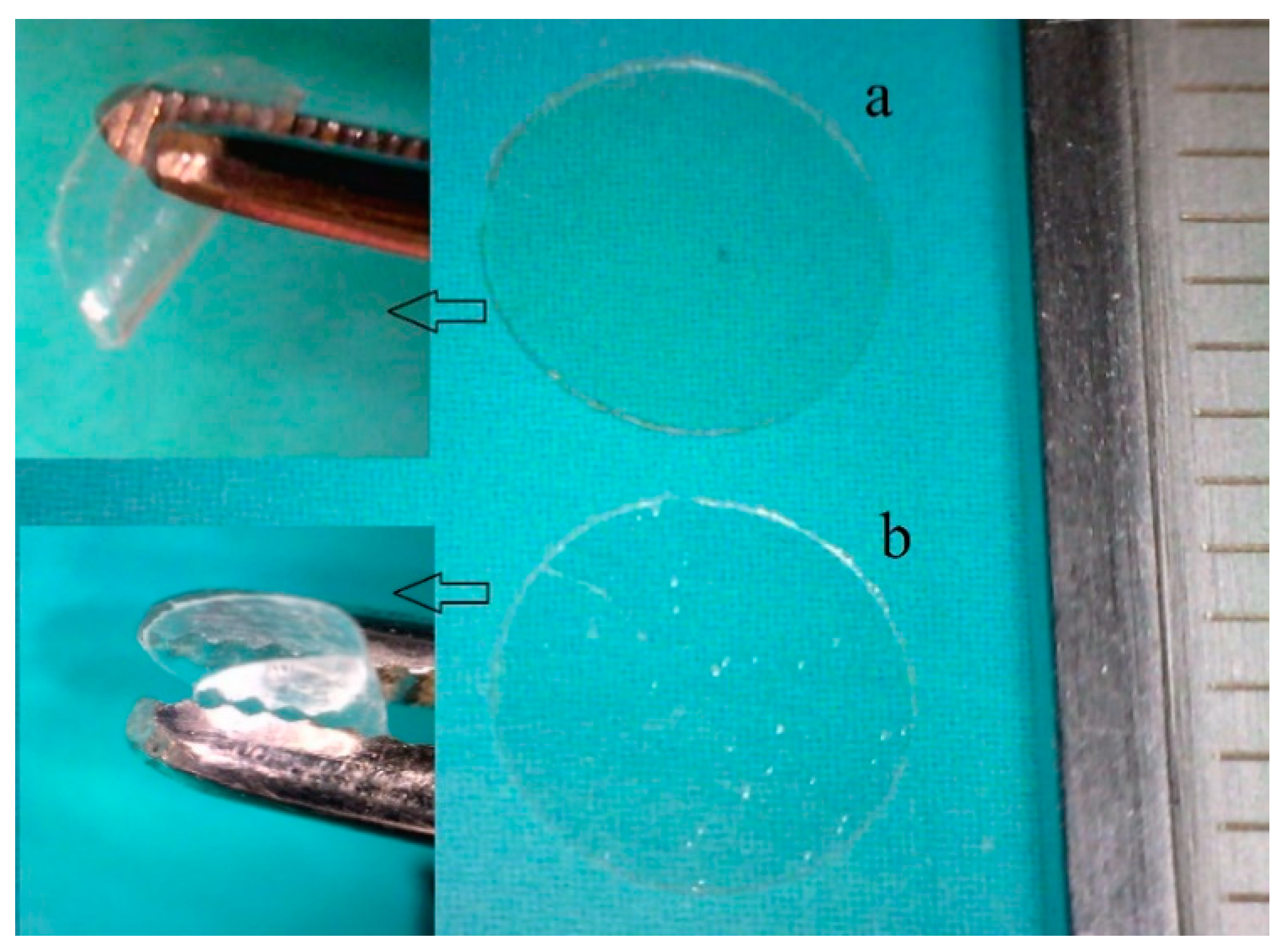 Biomedicines 08 00466 g005 Biomedicines 08 00466 g005