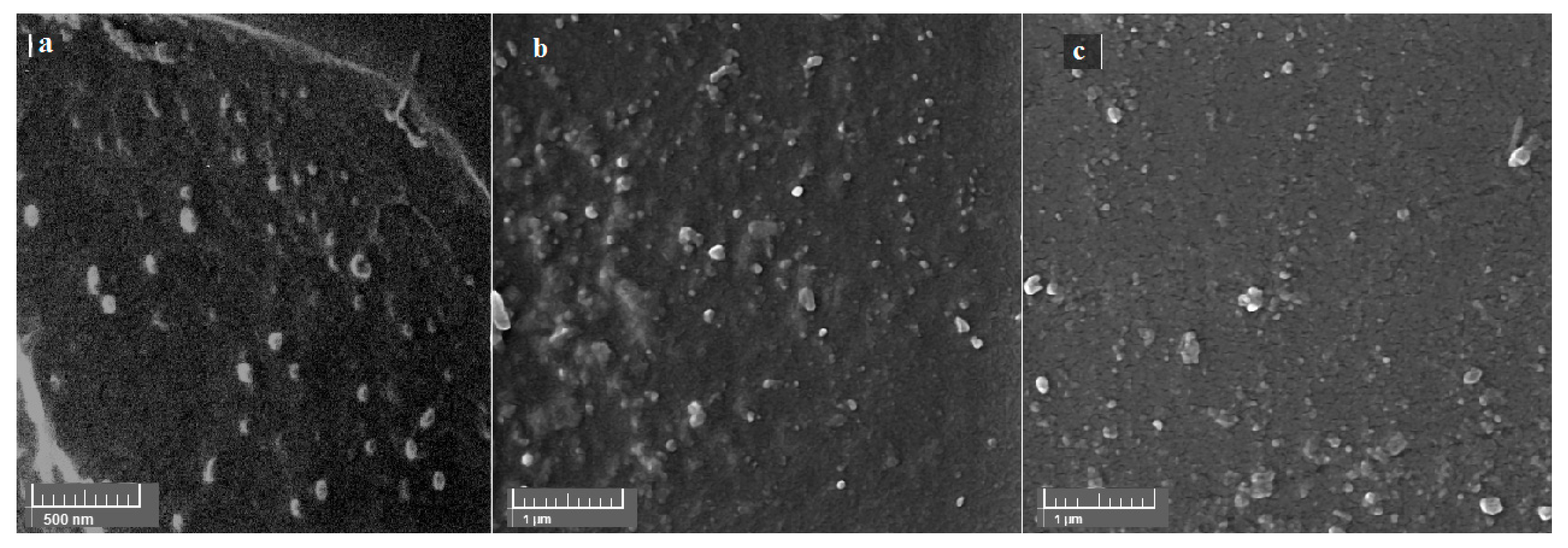 Biomedicines 08 00466 g006 Biomedicines 08 00466 g006
