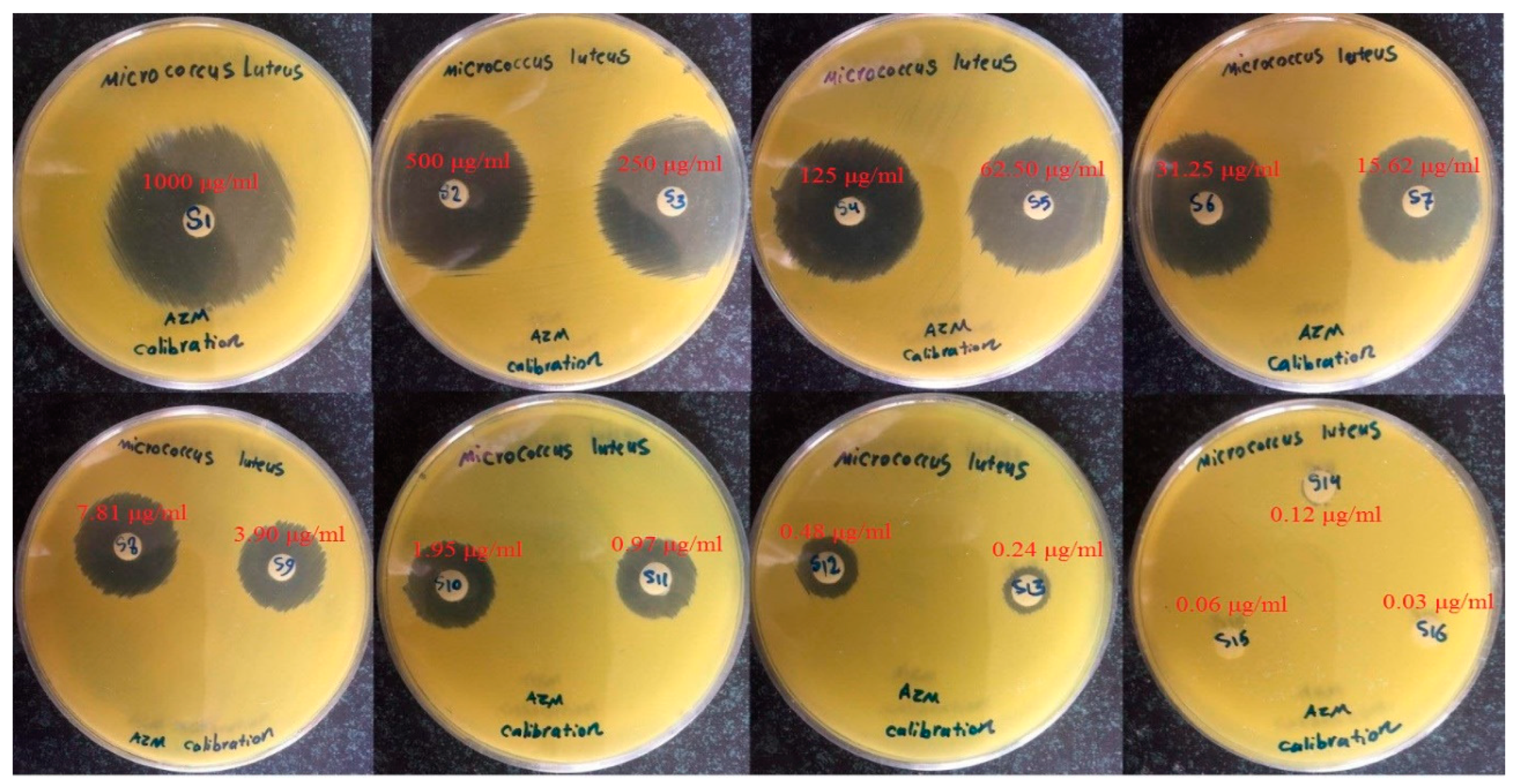 Biomedicines 08 00466 g007 Biomedicines 08 00466 g007